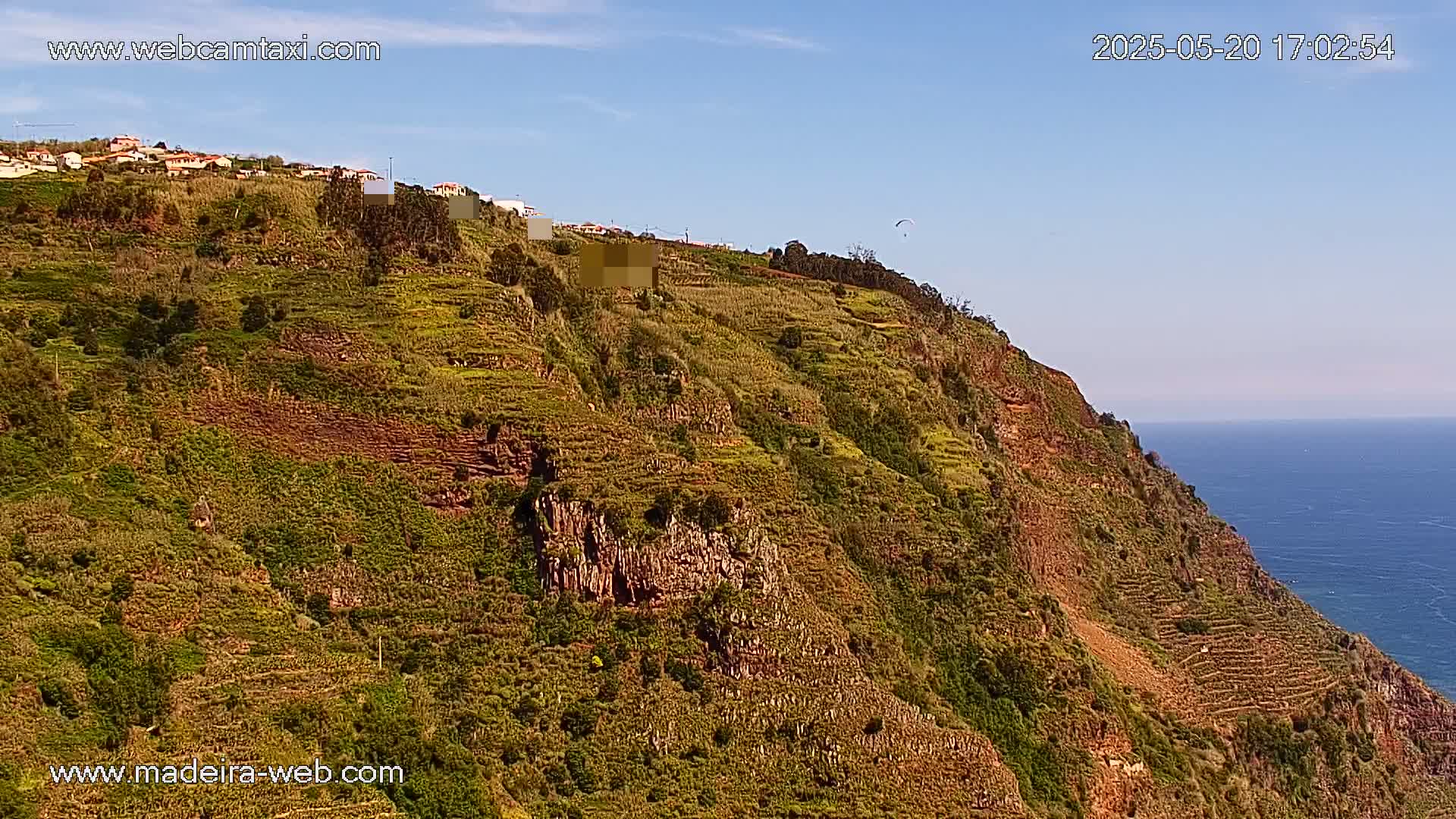 A steep, terraced hillside covered in vegetation overlooks a calm ocean under a clear blue sky.