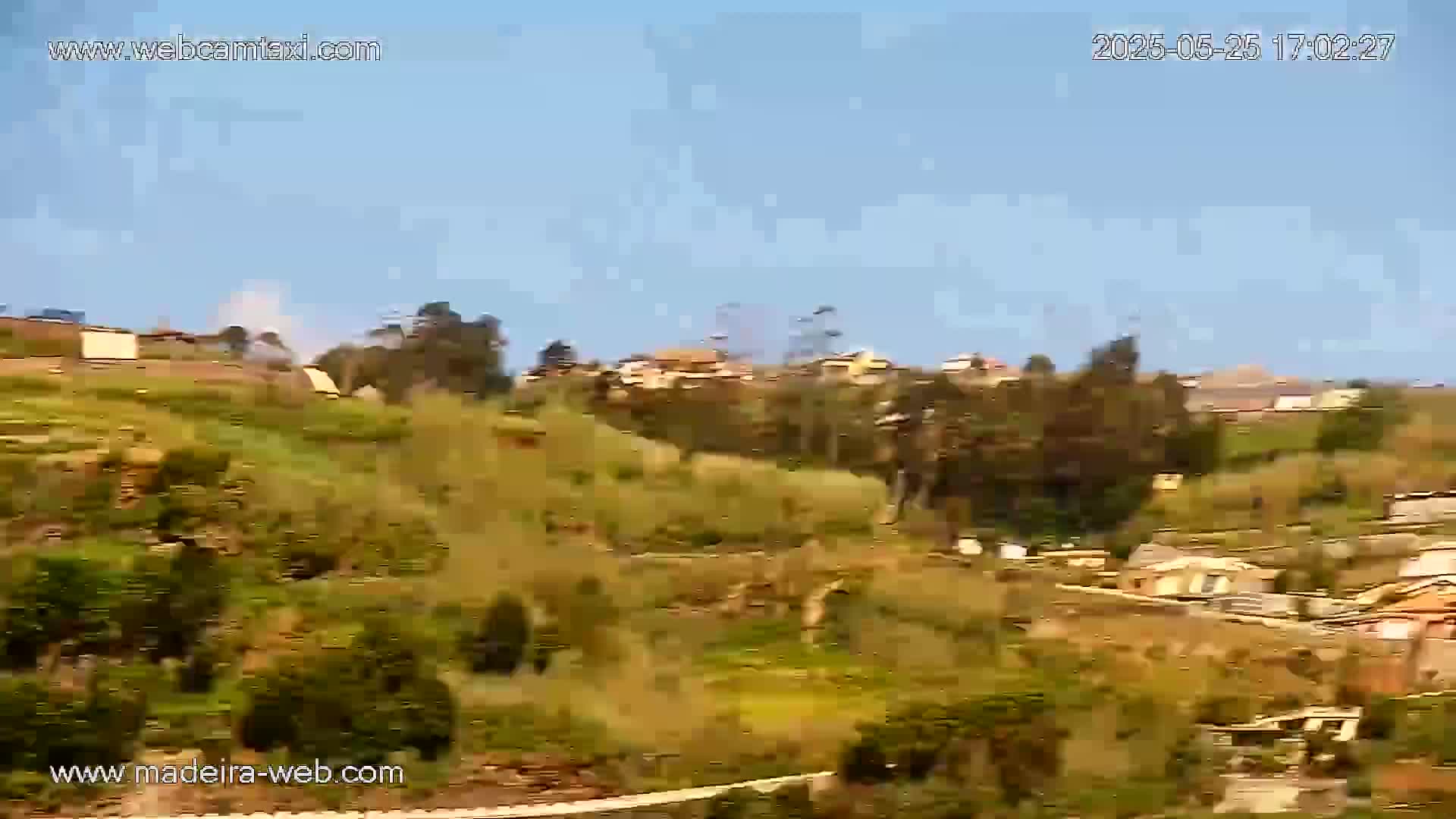 A hillside covered in low-lying vegetation and dotted with houses, under a clear blue sky.