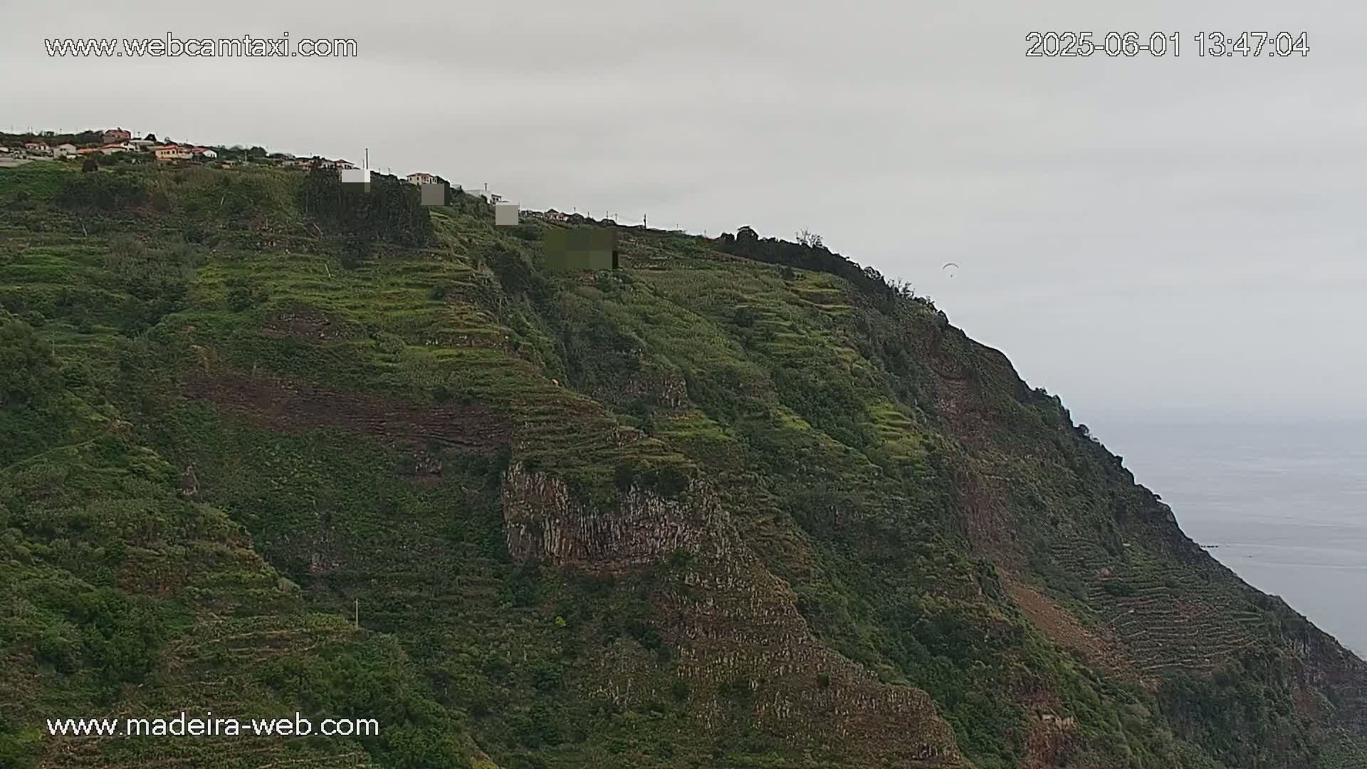 A steep, terraced hillside covered in green vegetation overlooks a calm ocean under an overcast sky.