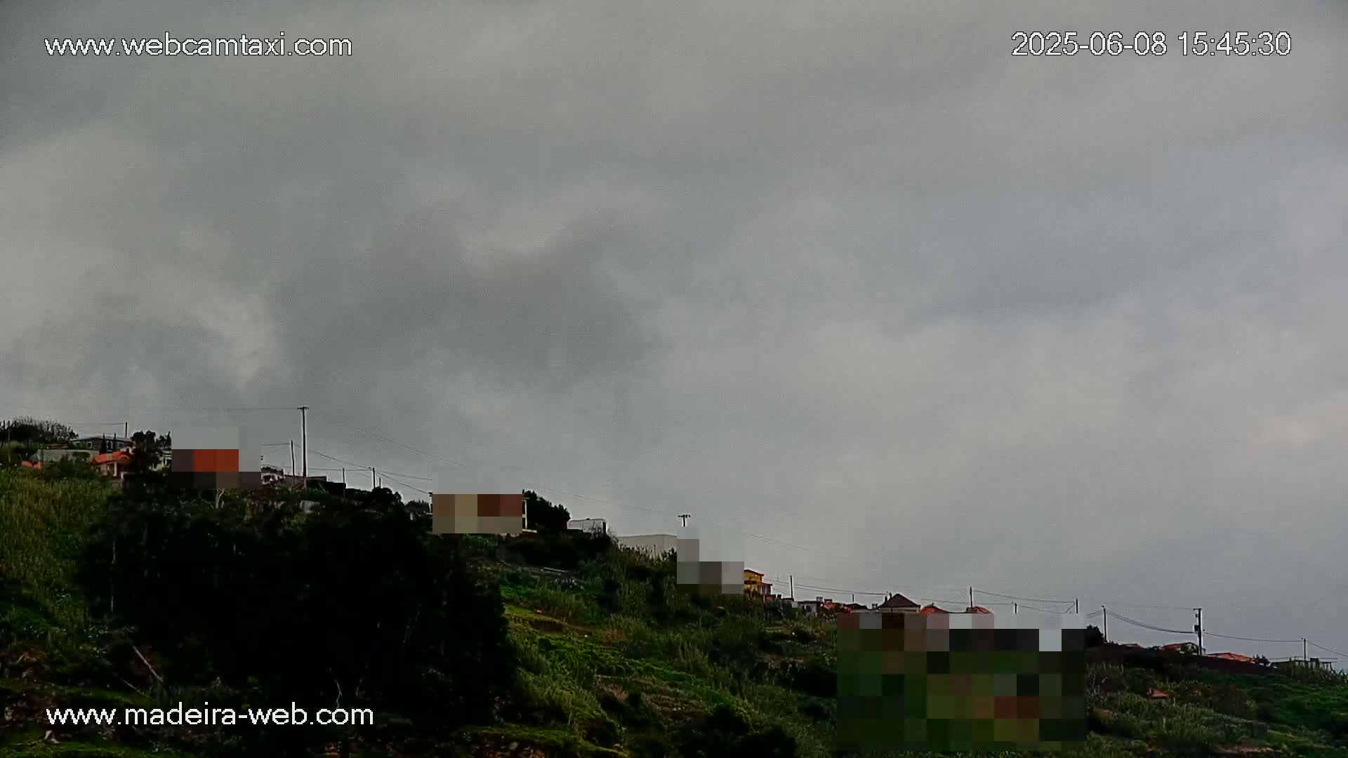 A hillside covered in dark green vegetation features several houses under an overcast sky.
