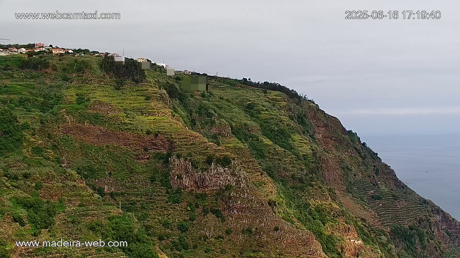 A steeply sloped, terraced hillside covered in green vegetation overlooks a calm ocean under an overcast sky.