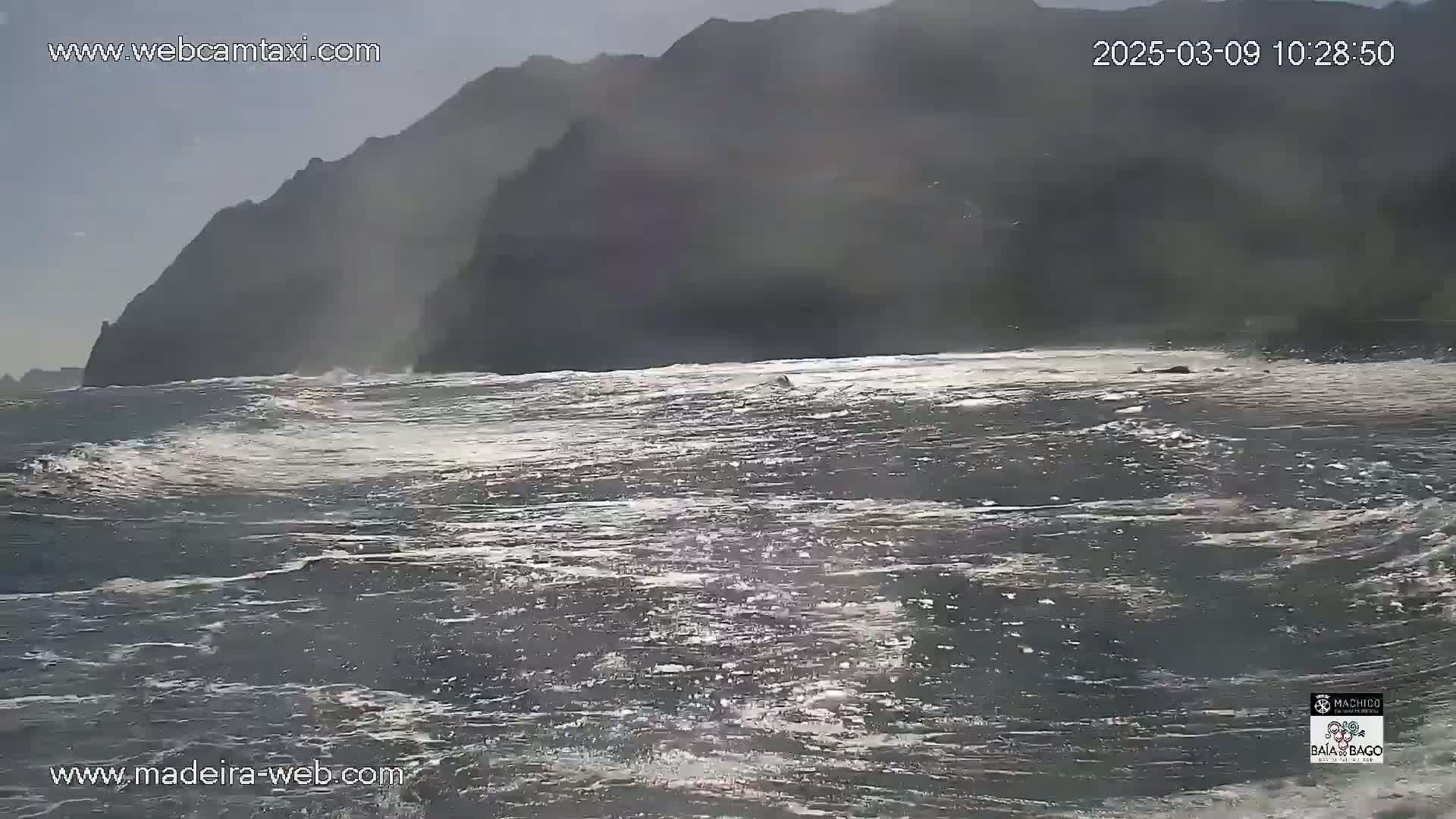 A dark, rocky cliff is visible in the distance over a choppy, gray ocean under an overcast sky.
