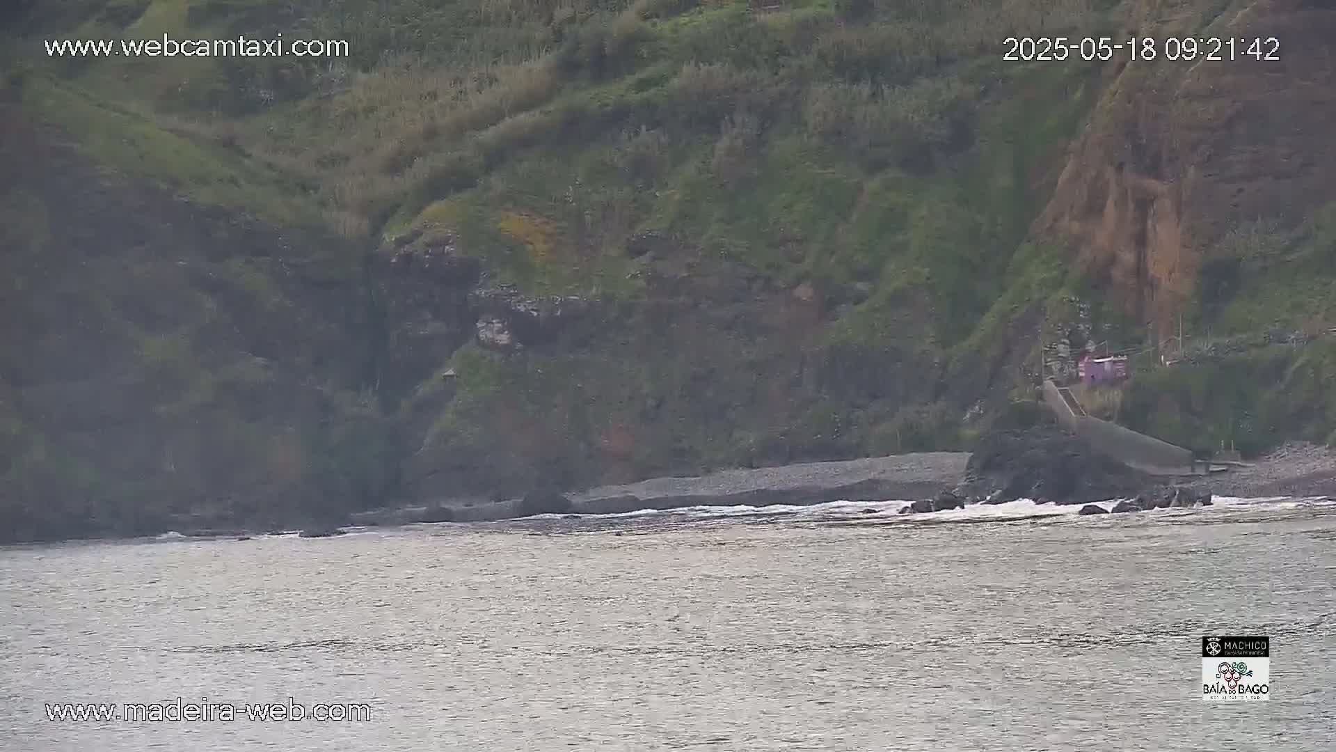 A rocky coastline with dark gray and green vegetation meets a calm, gray ocean under overcast skies.