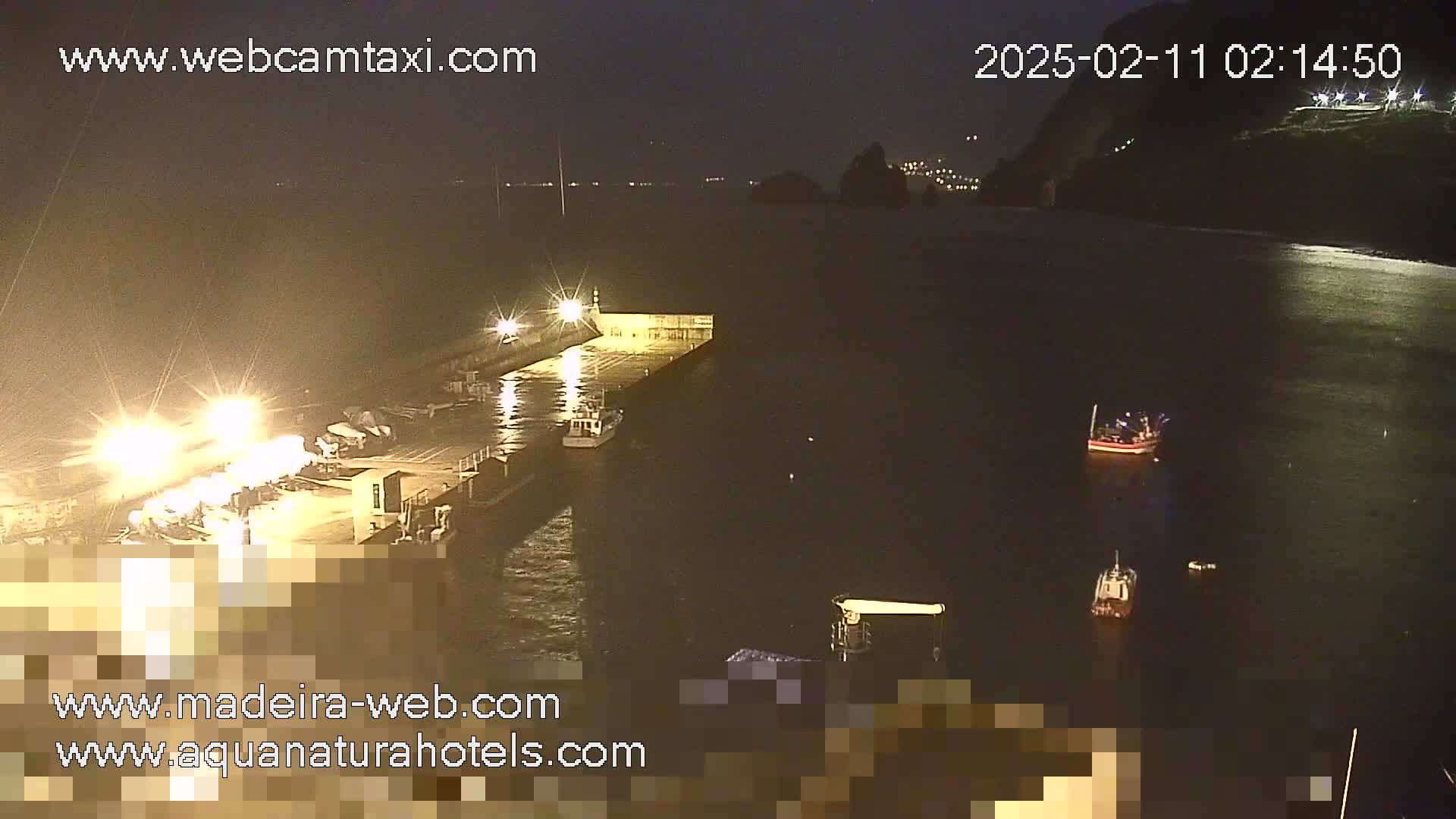 A nighttime, low-light view of a harbor with several small boats near a dock, illuminated by artificial lights.