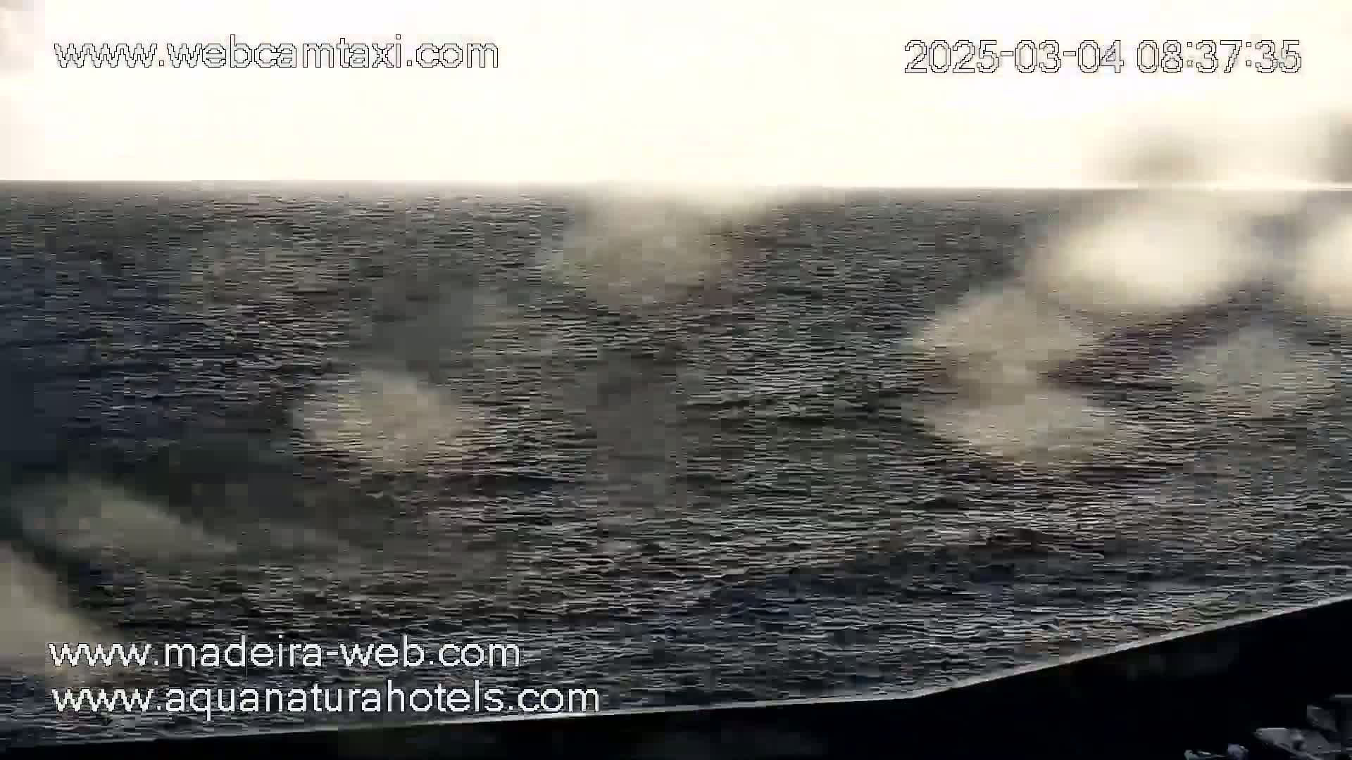 A slightly overcast day shows a dark ocean with patches of whitecaps visible on the surface.
