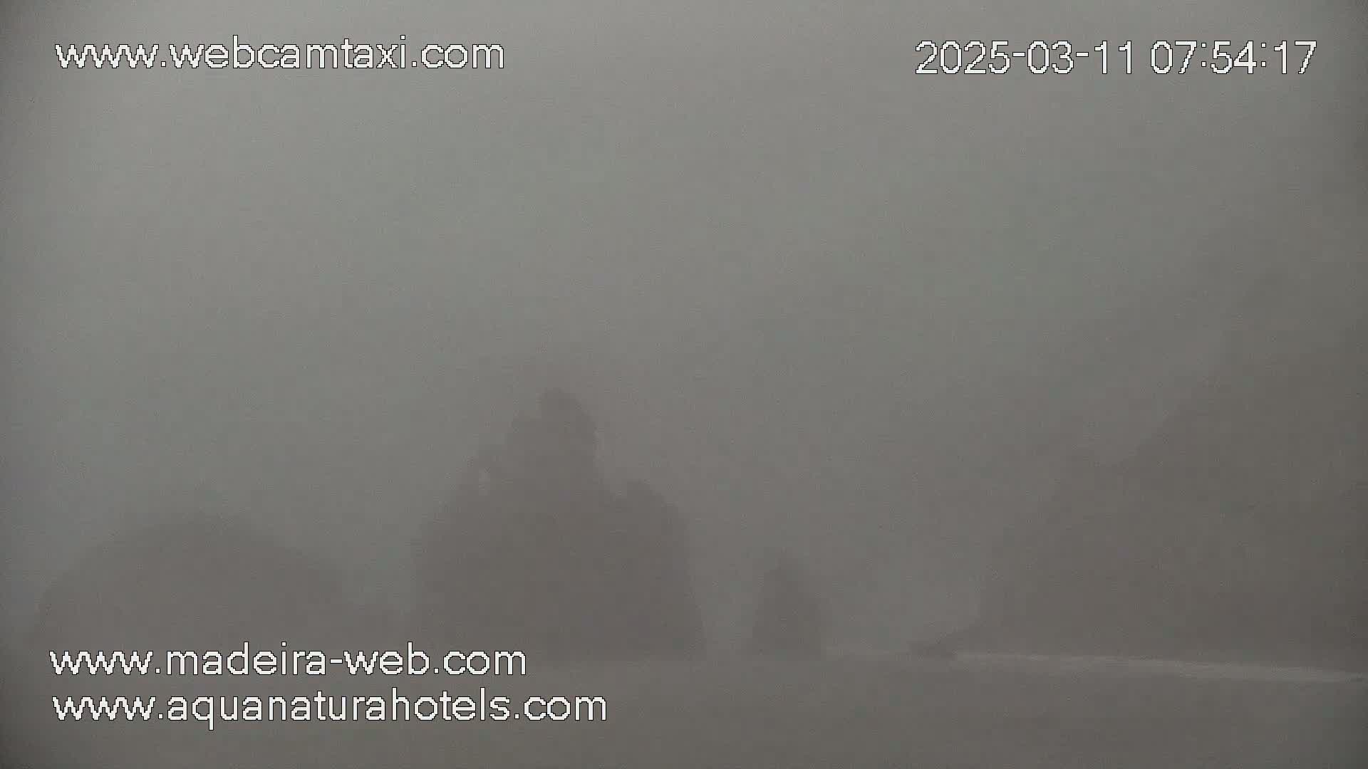 A thick fog obscures the view of a landscape, showing only indistinct shapes of trees or structures in the hazy distance.