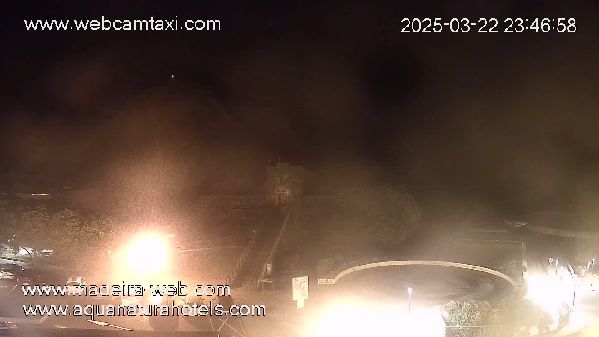 A nighttime, hazy view of a parking lot and roadway with some vegetation, and a building in the distance.
