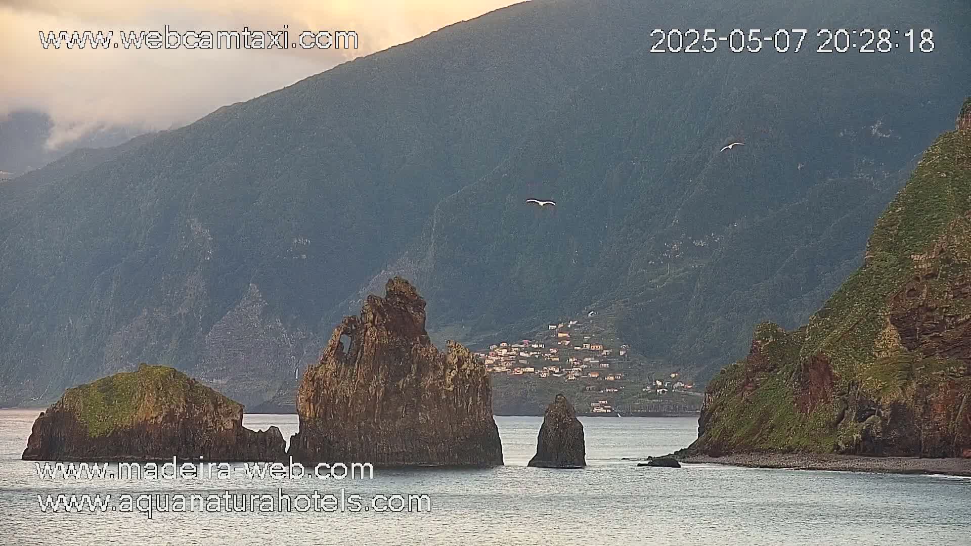 A calm body of water laps against rocky cliffs and islets under a soft, dusky sky, with a bird flying overhead.