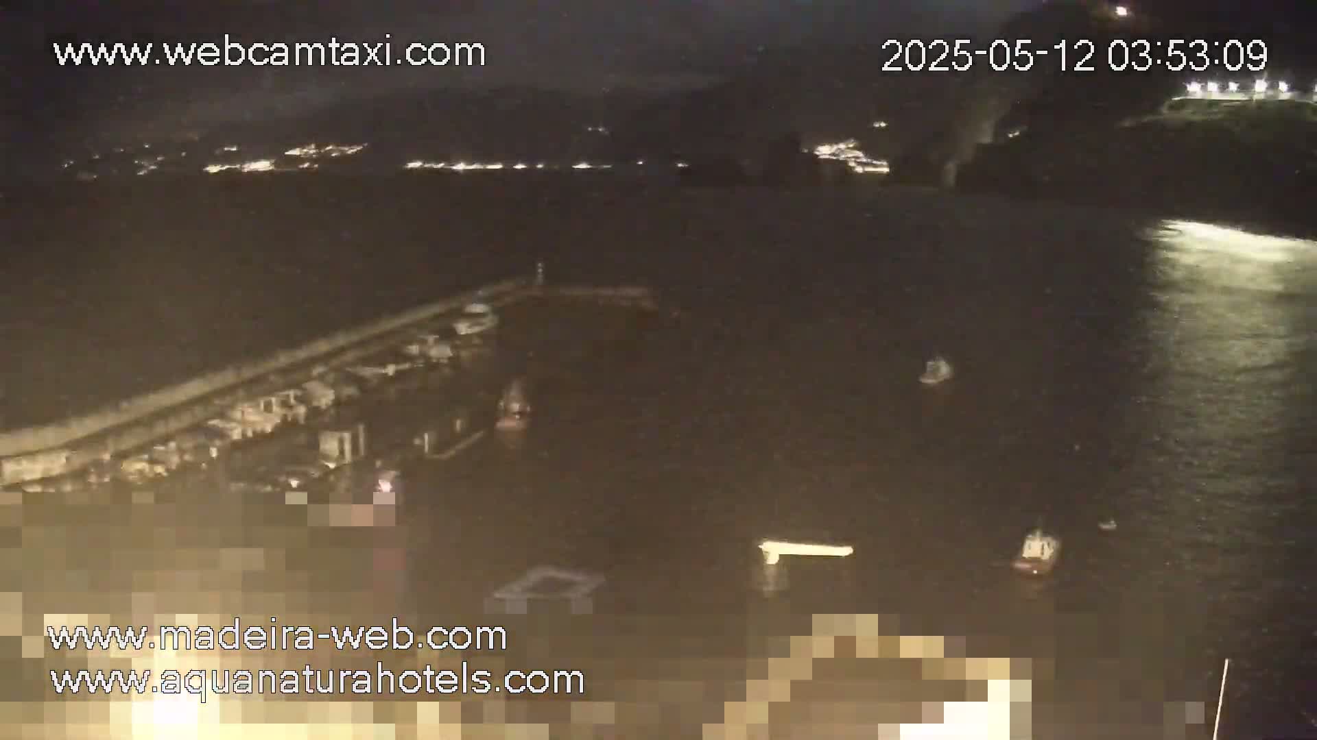 A nighttime view of a dark body of water with a pier and several small boats, under a clear, dark sky.
