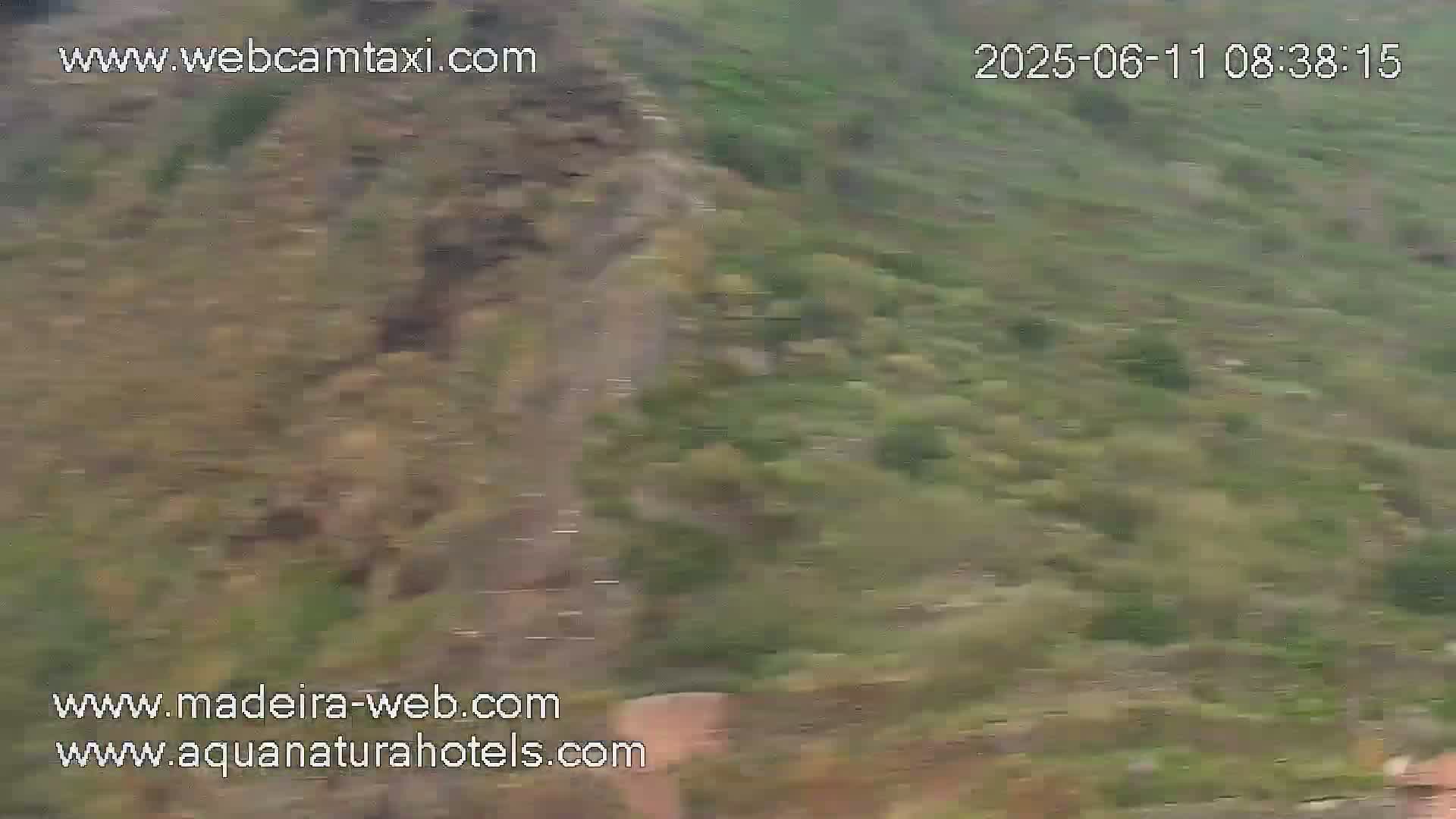 A blurry, long shot shows a rocky, green hillside on an overcast day.
