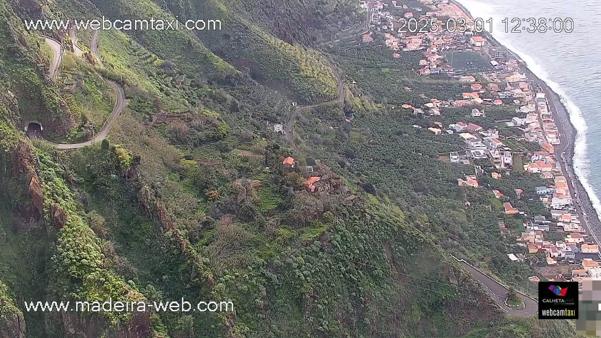 A winding road descends a lush, green hillside toward a coastal village and ocean with light waves.
