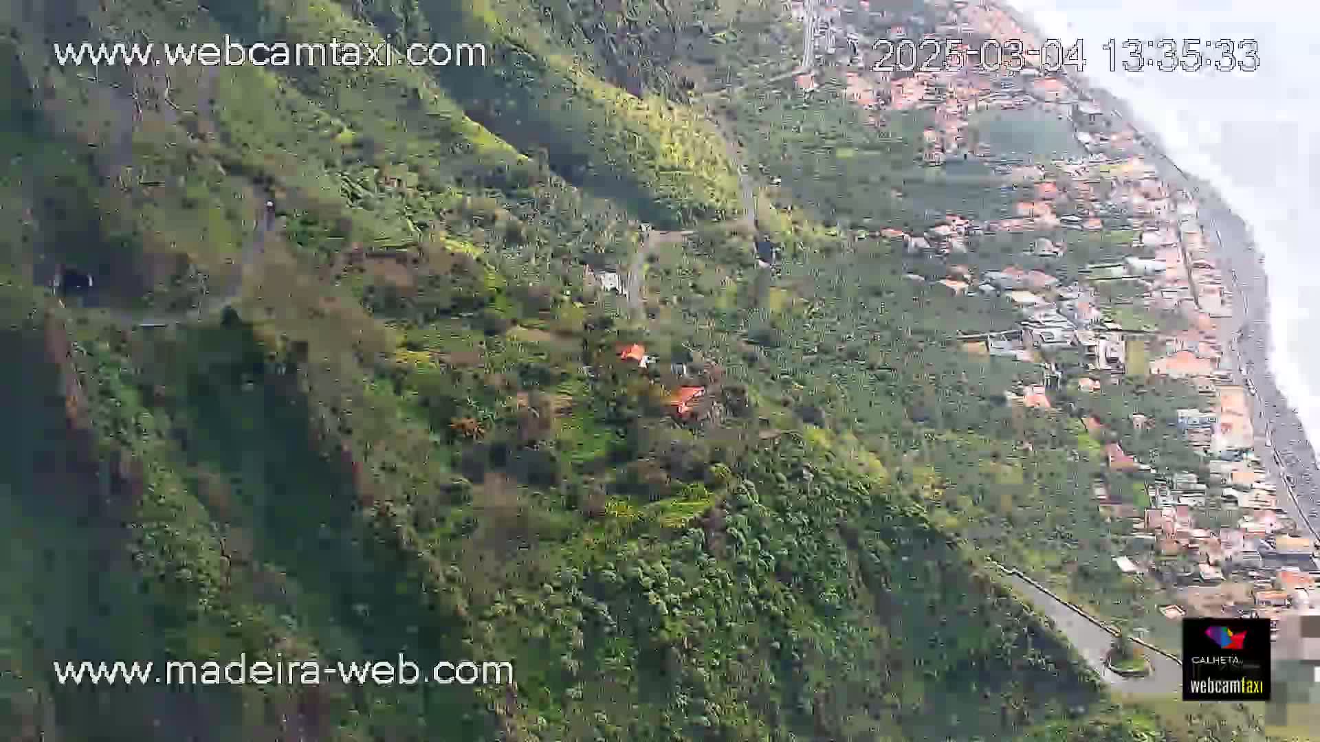 A high-angle view shows a lush green hillside sloping down to a coastal town under a partly cloudy sky.