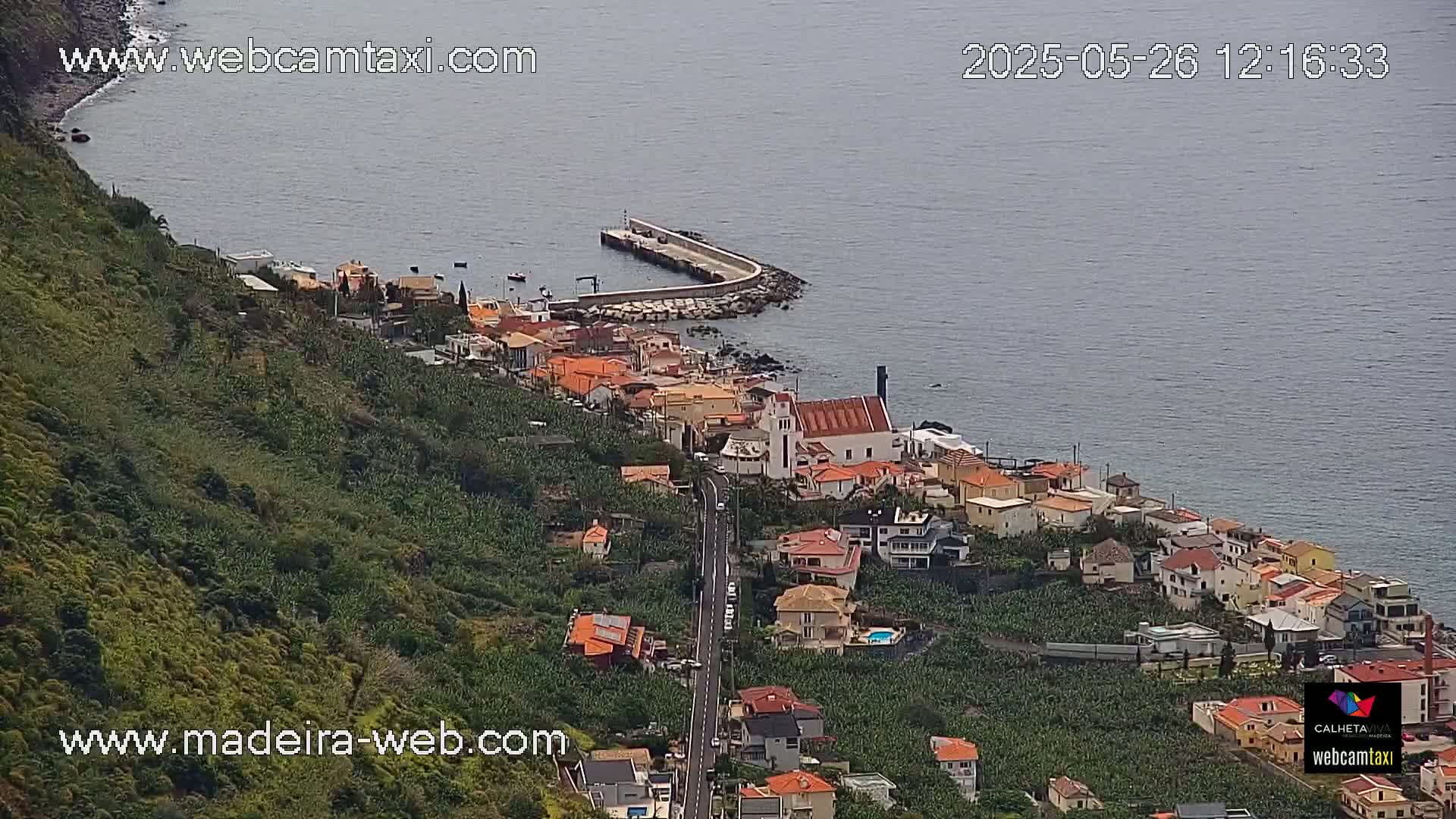 A coastal town with a small harbor and a church nestled between a hillside of banana plantations and the ocean on a cloudy day.