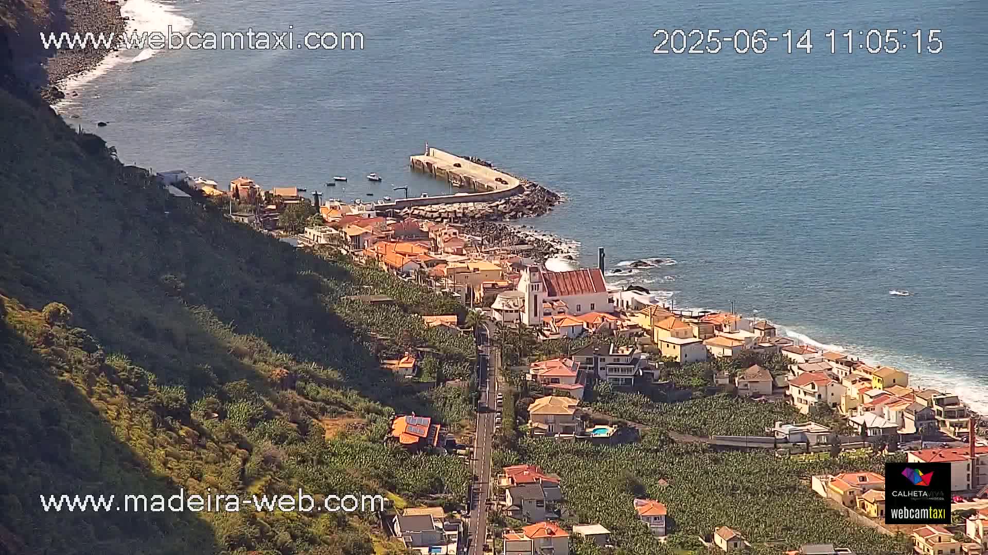 An aerial view shows a coastal town nestled on a hillside overlooking a calm ocean on a sunny day, with a small harbor and banana plantations visible.