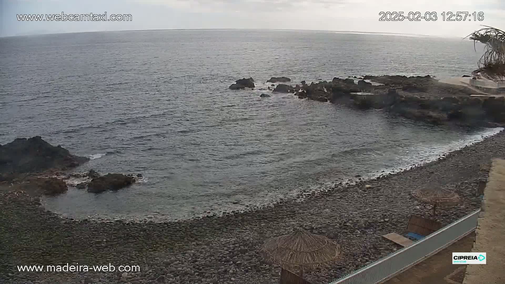 A rocky beach with calm, gray-green water under an overcast sky.