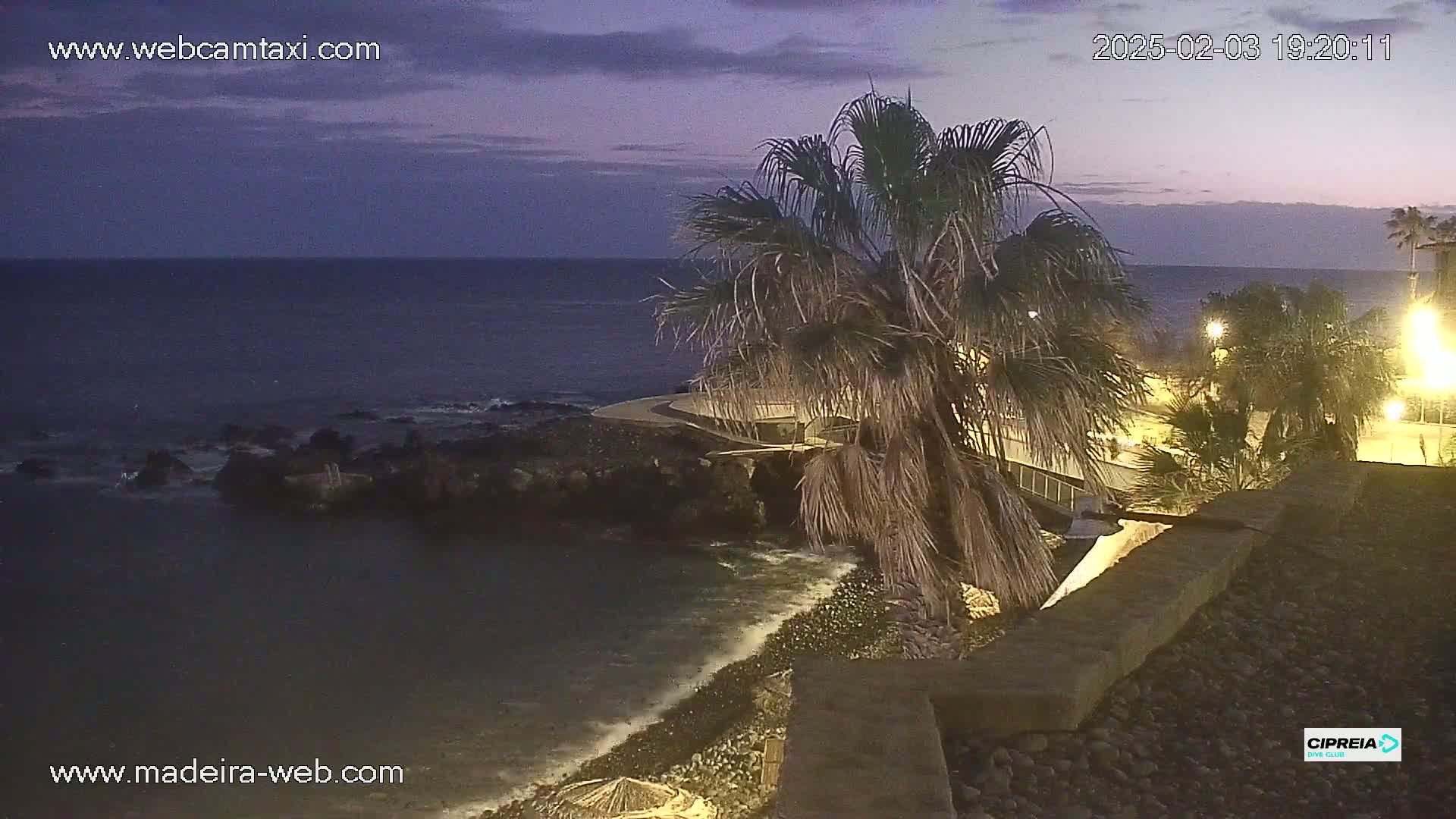 A twilight coastal scene shows a calm ocean, rocky shoreline, palm trees, and a stone wall under a dusky sky.