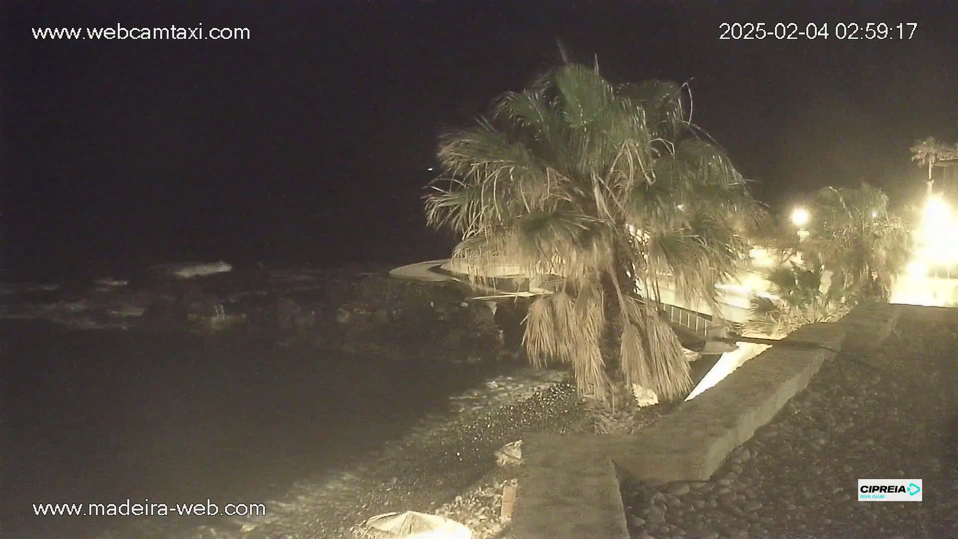 A nighttime view of a rocky shoreline with gentle waves, palm trees, and dimly lit pathways.