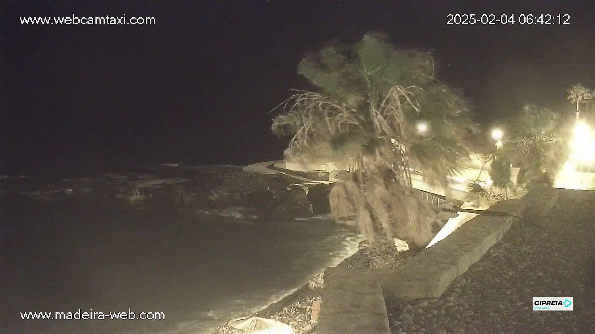 A nighttime coastal scene shows a rocky shoreline with crashing waves under a dark sky, and palm trees are swaying in the wind.