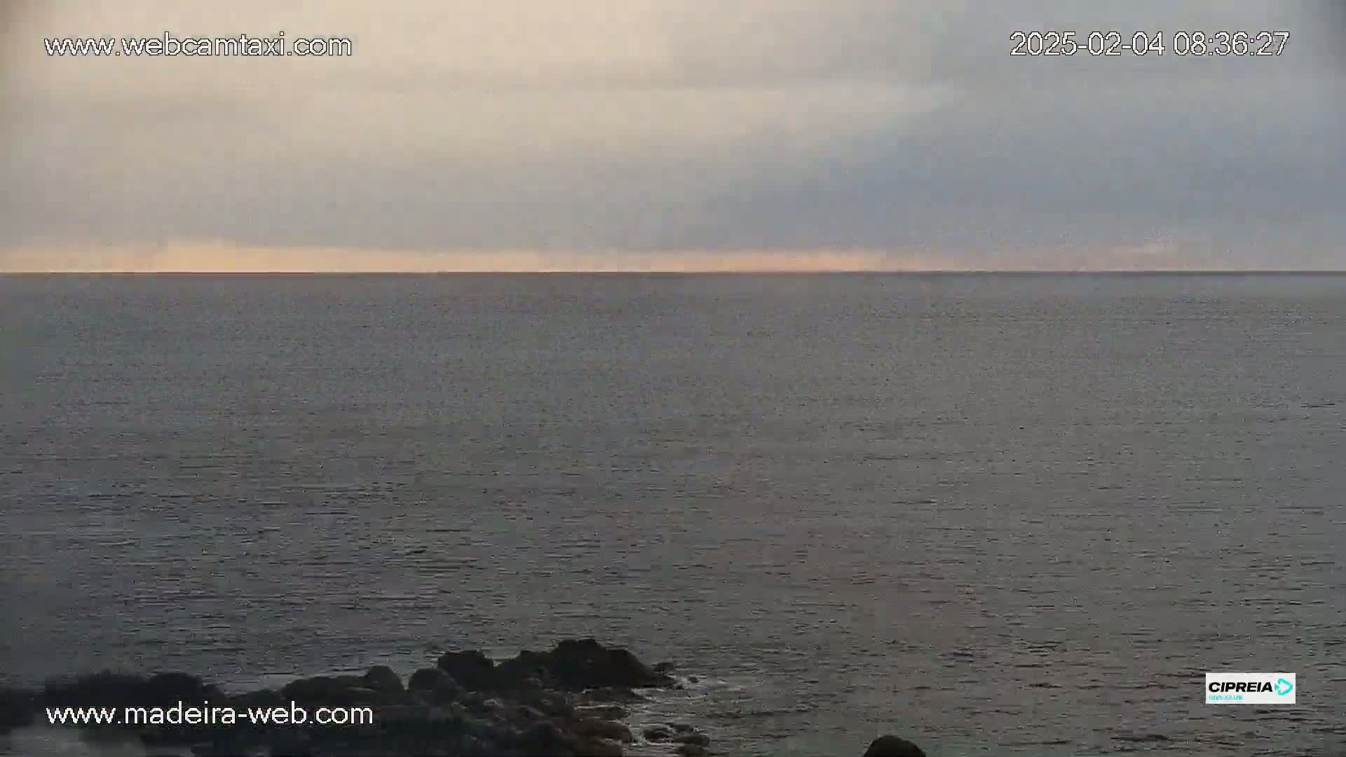A calm, overcast ocean meets a rocky shoreline under a pale sky.