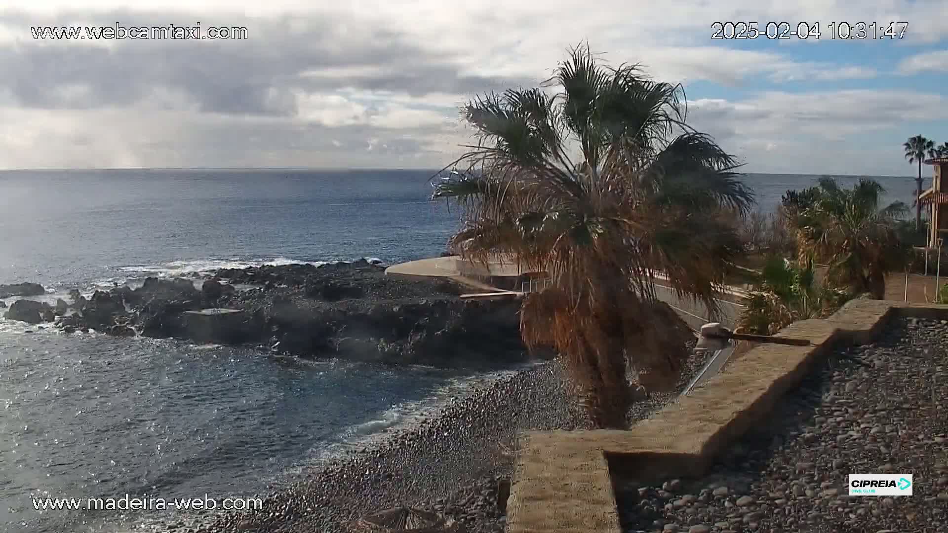 A partly cloudy day reveals a rocky coastline with a calm ocean, a pebble beach, and palm trees overlooking the scene.