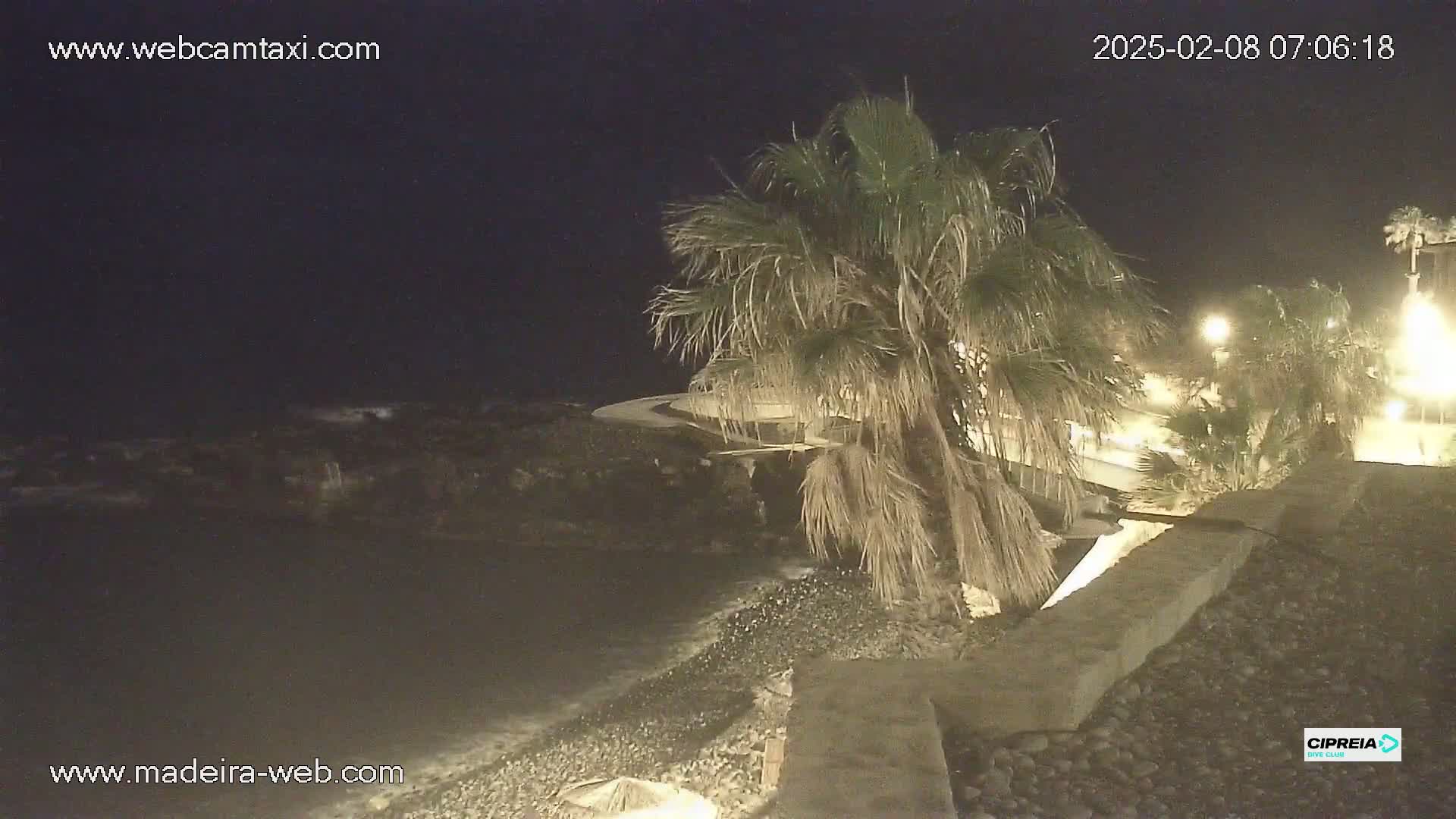 A nighttime view of a rocky shoreline with palm trees, a paved walkway, and dimly lit buildings beyond.