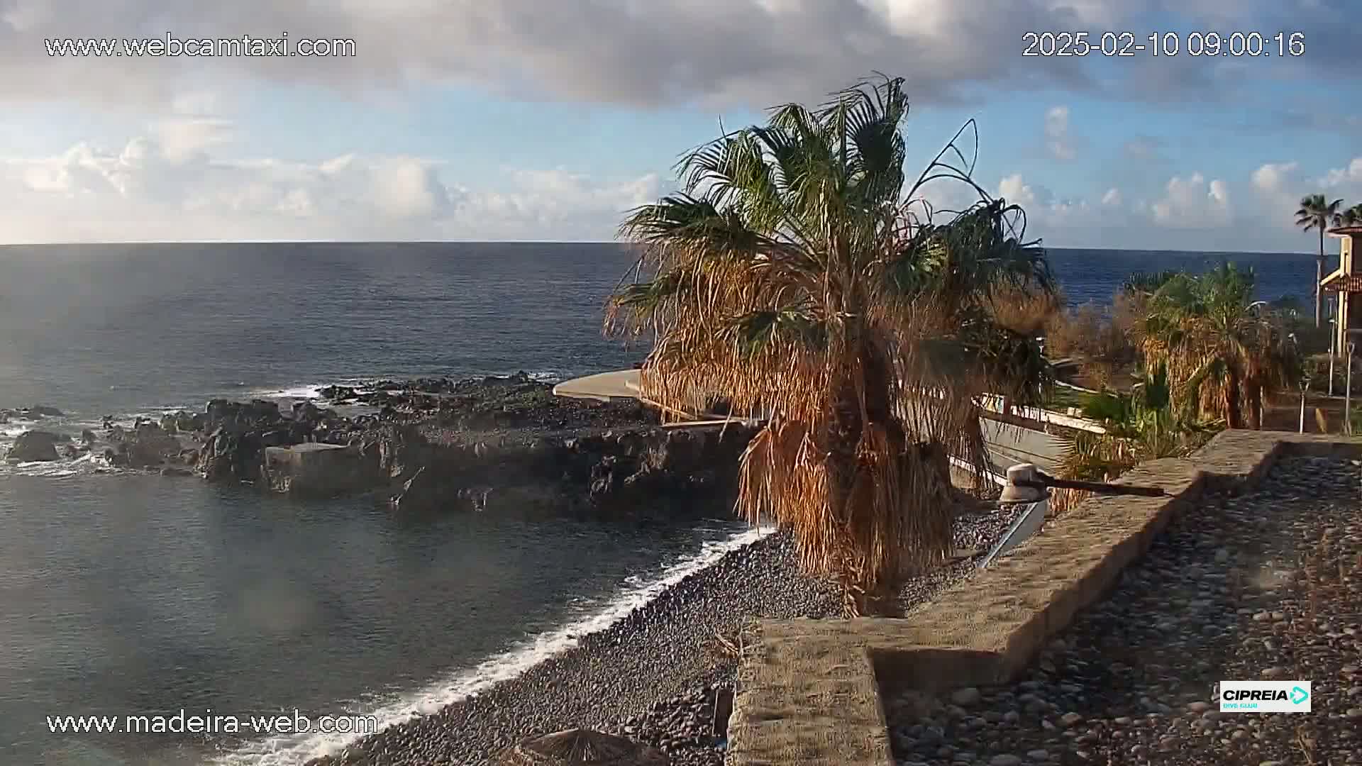 A partly cloudy day reveals a rocky coastline with a dark-colored ocean, a palm tree, and a stone wall.