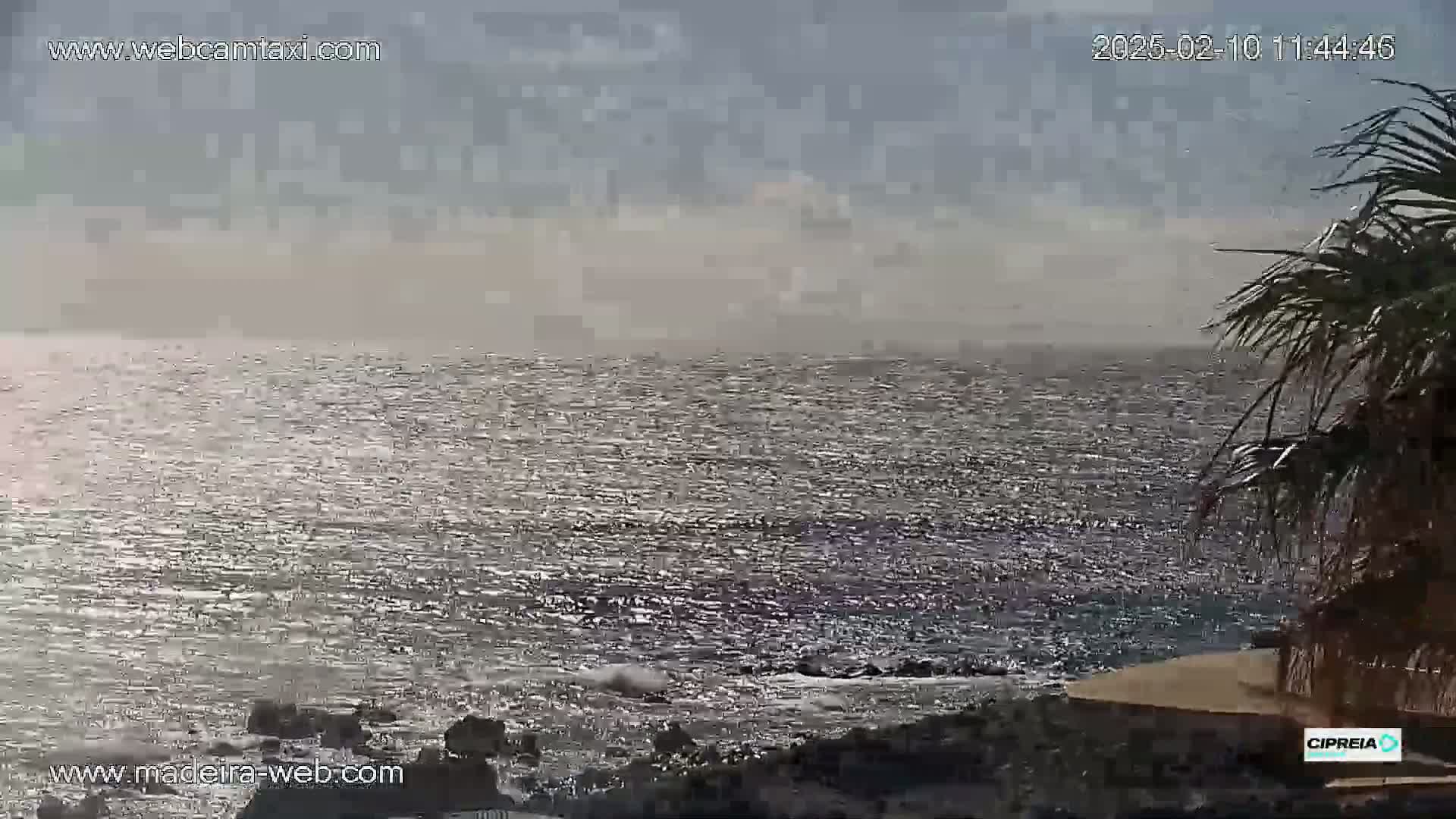 A hazy, somewhat overcast day shows a wavy ocean meeting a rocky shoreline with palm trees in the foreground.