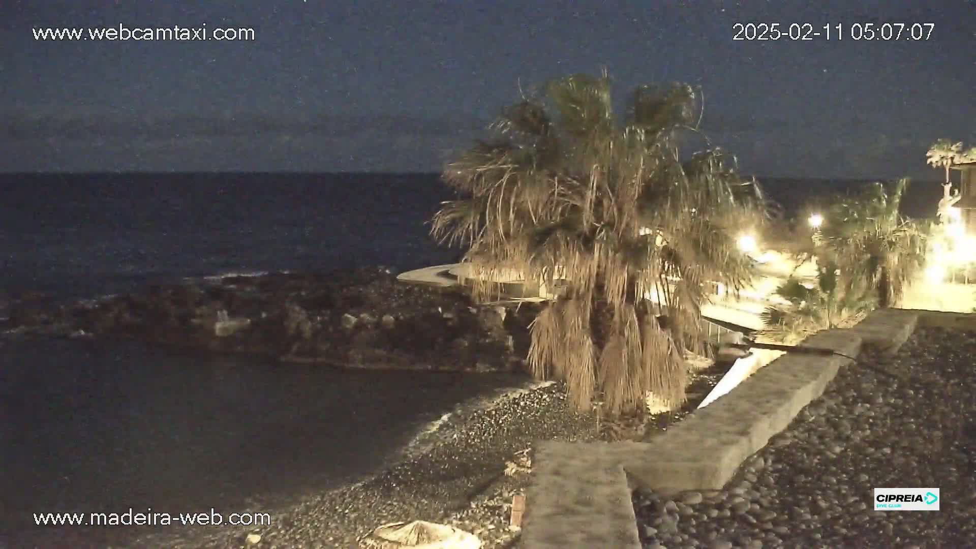 A nighttime view of a dark ocean shore with palm trees, rocky terrain, and some lights visible nearby.