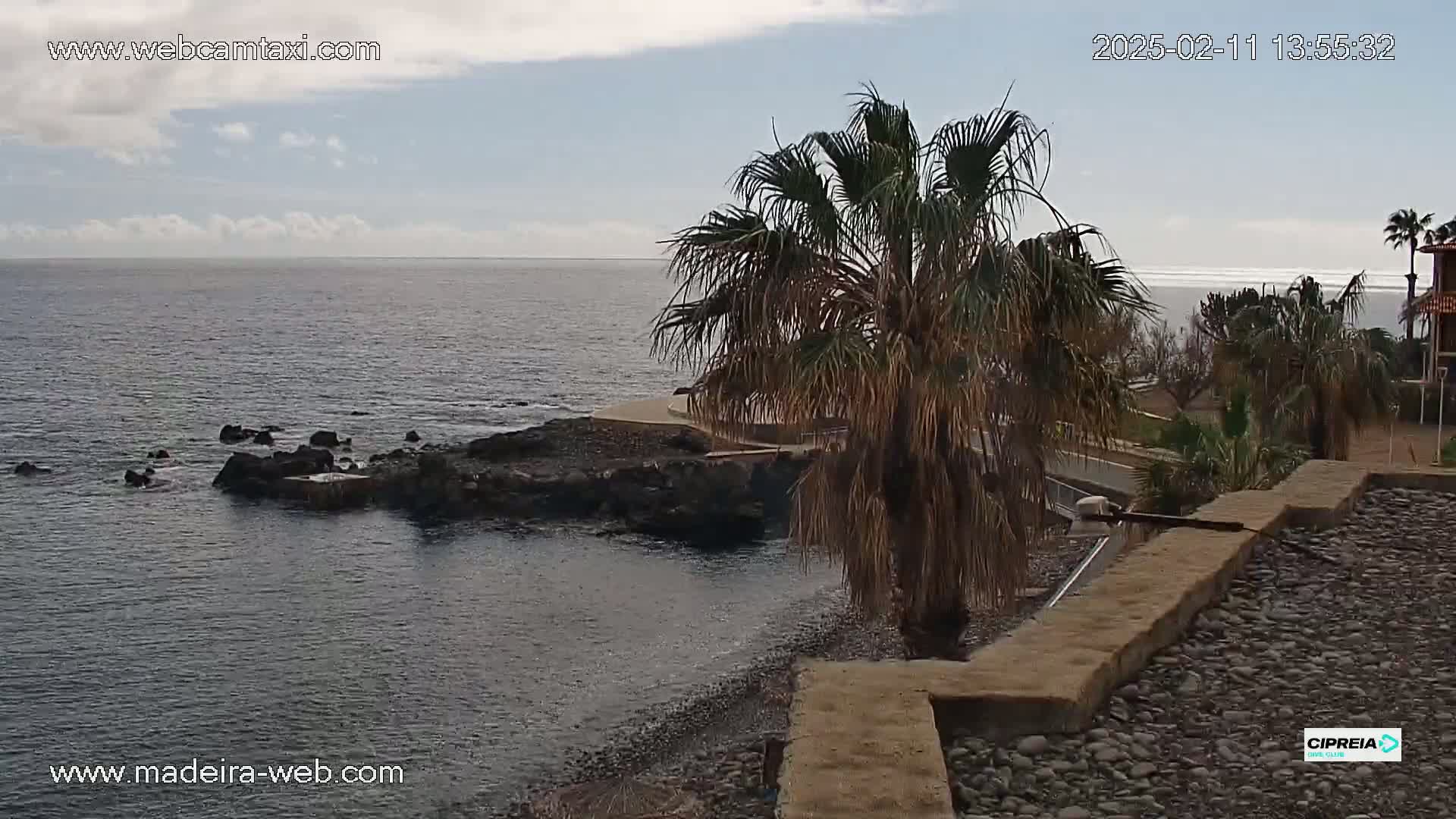 A partly cloudy day overlooks a rocky shoreline with calm ocean waters, a palm tree in the foreground, and a pebble-covered area nearby.