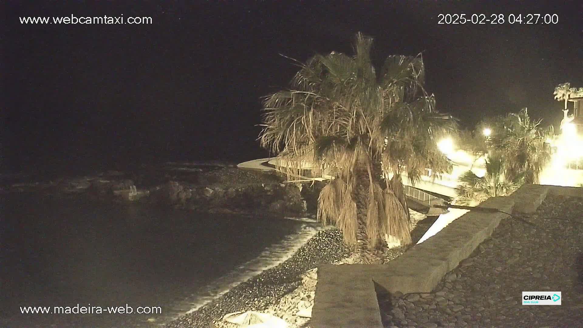 A nighttime view of a rocky shoreline with palm trees, gentle waves, and lights illuminating a nearby walkway.