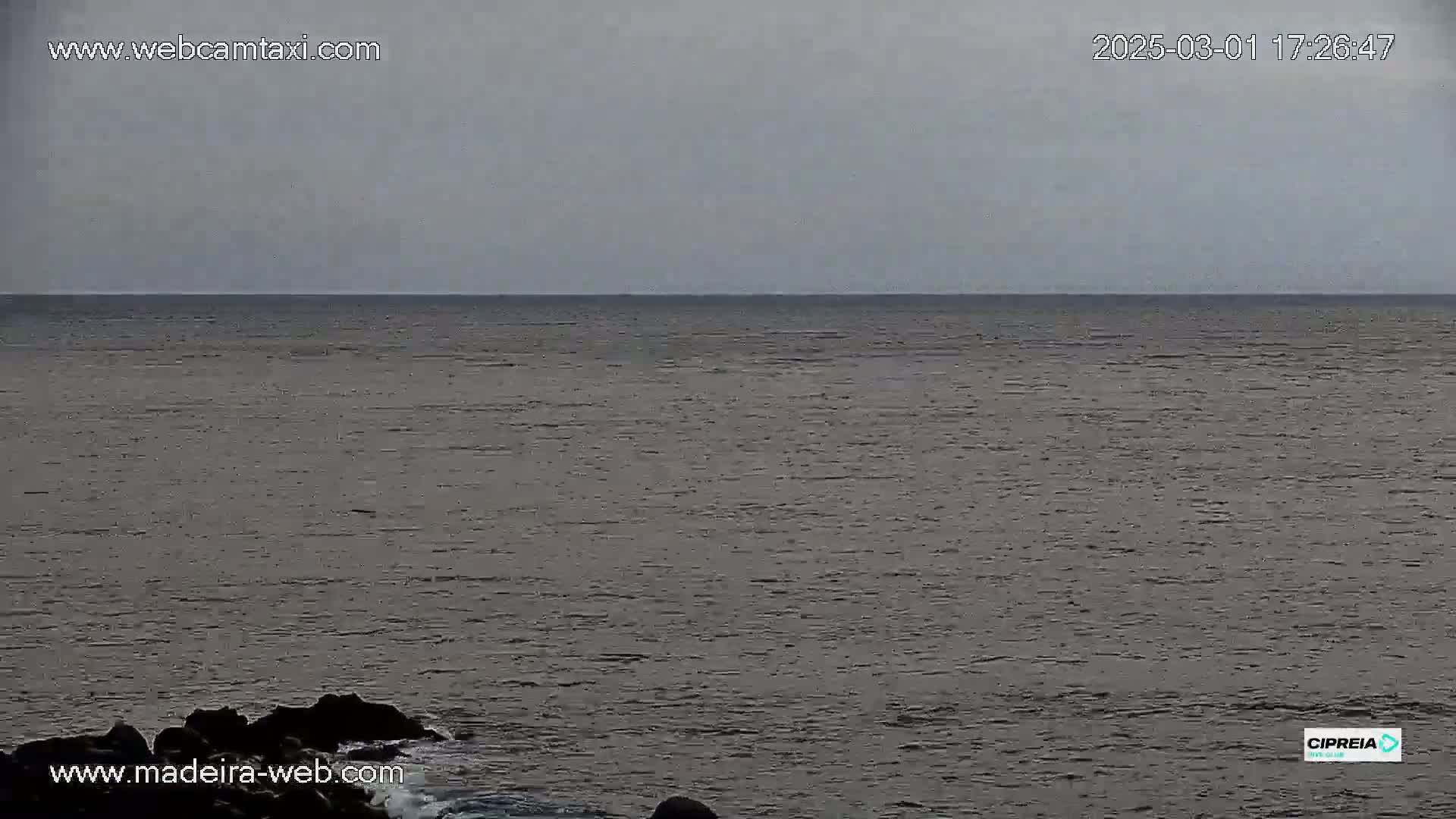 A calm, gray ocean meets a rocky shoreline under an overcast sky.