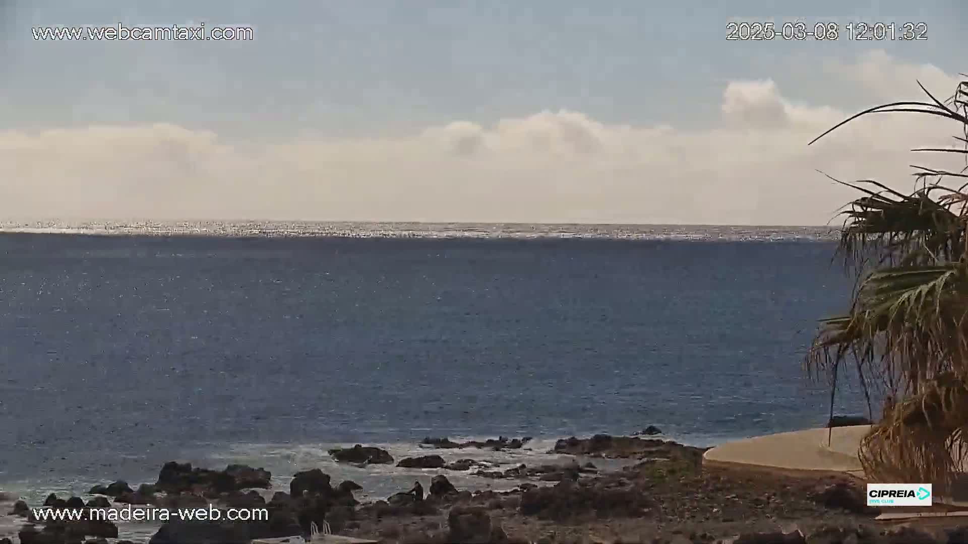 A partly cloudy day shows a dark blue ocean meeting a rocky shoreline with a palm tree in the foreground.