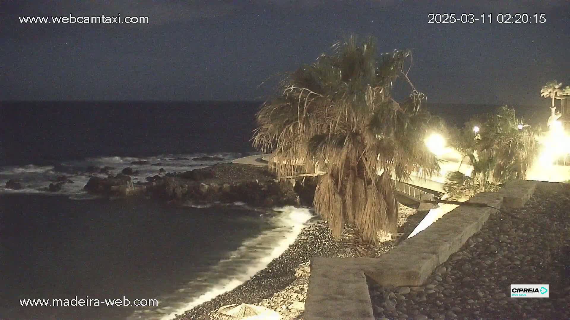 A nighttime coastal scene shows a rocky beach with small waves lapping the shore under a dark sky, with palm trees illuminated by nearby lights.