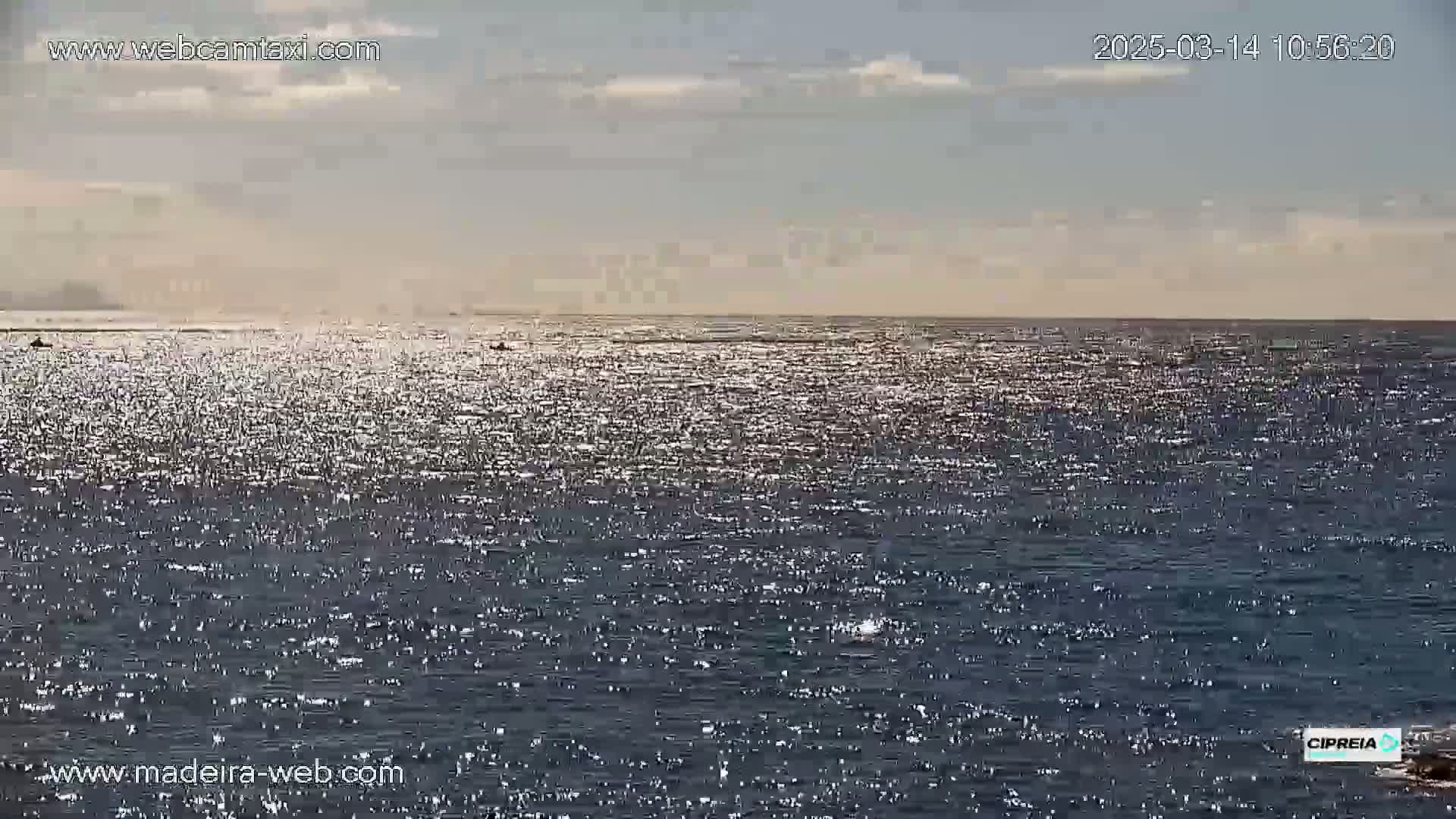 A sparkling ocean stretches to the horizon under a mostly clear sky with a few clouds.