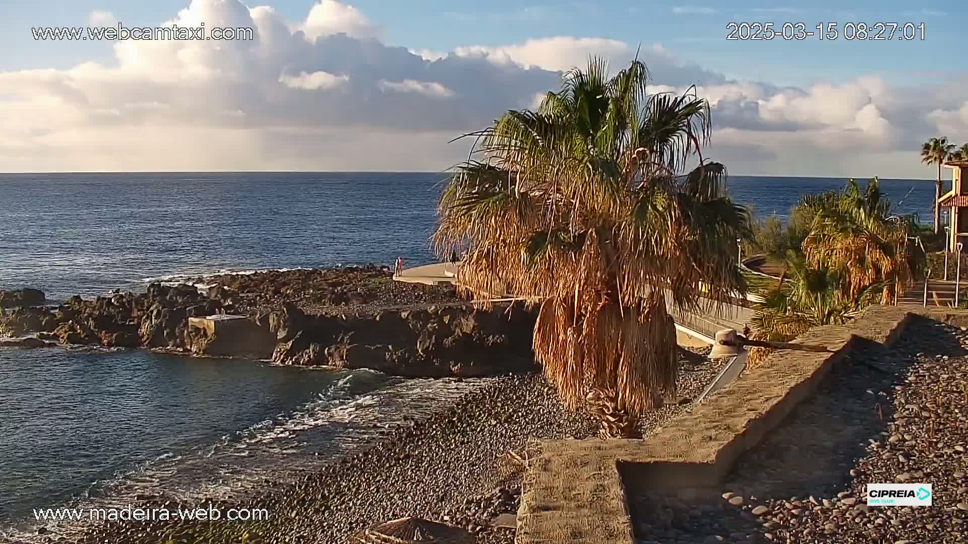 A rocky coastline with palm trees and a calm ocean under a partly cloudy sky.