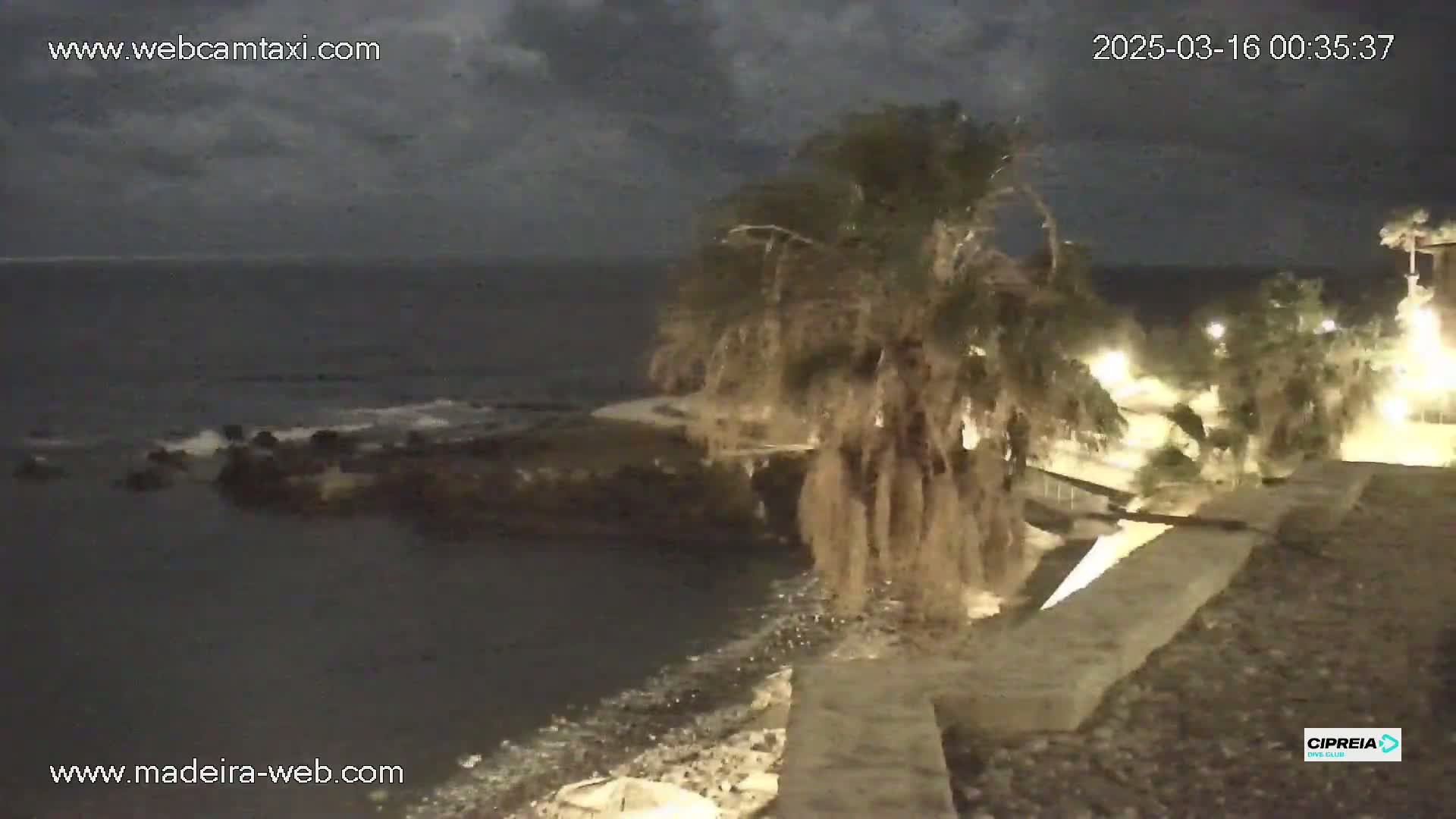 A nighttime coastal scene shows dark water lapping against rocky shores, a palm tree silhouetted against a cloudy sky, and some lights illuminating a nearby structure.