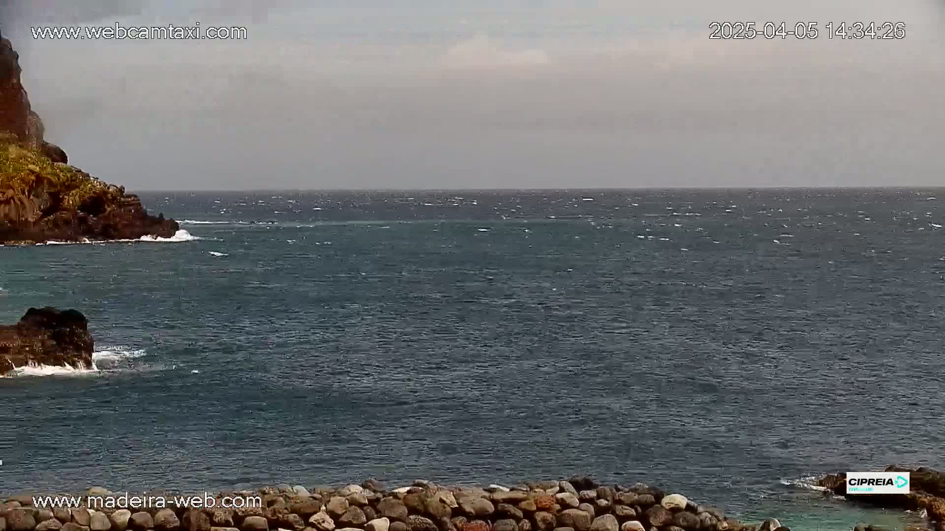 A rocky coastline meets a dark blue ocean with a windy, overcast sky.