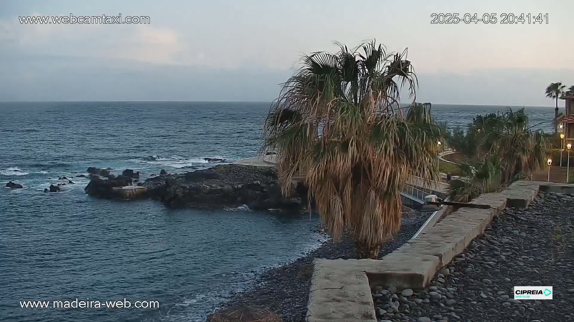 A dark-blue ocean with some small waves laps against dark rocks and a pebble beach, next to a palm tree and a stone wall under a mostly cloudy sky.
