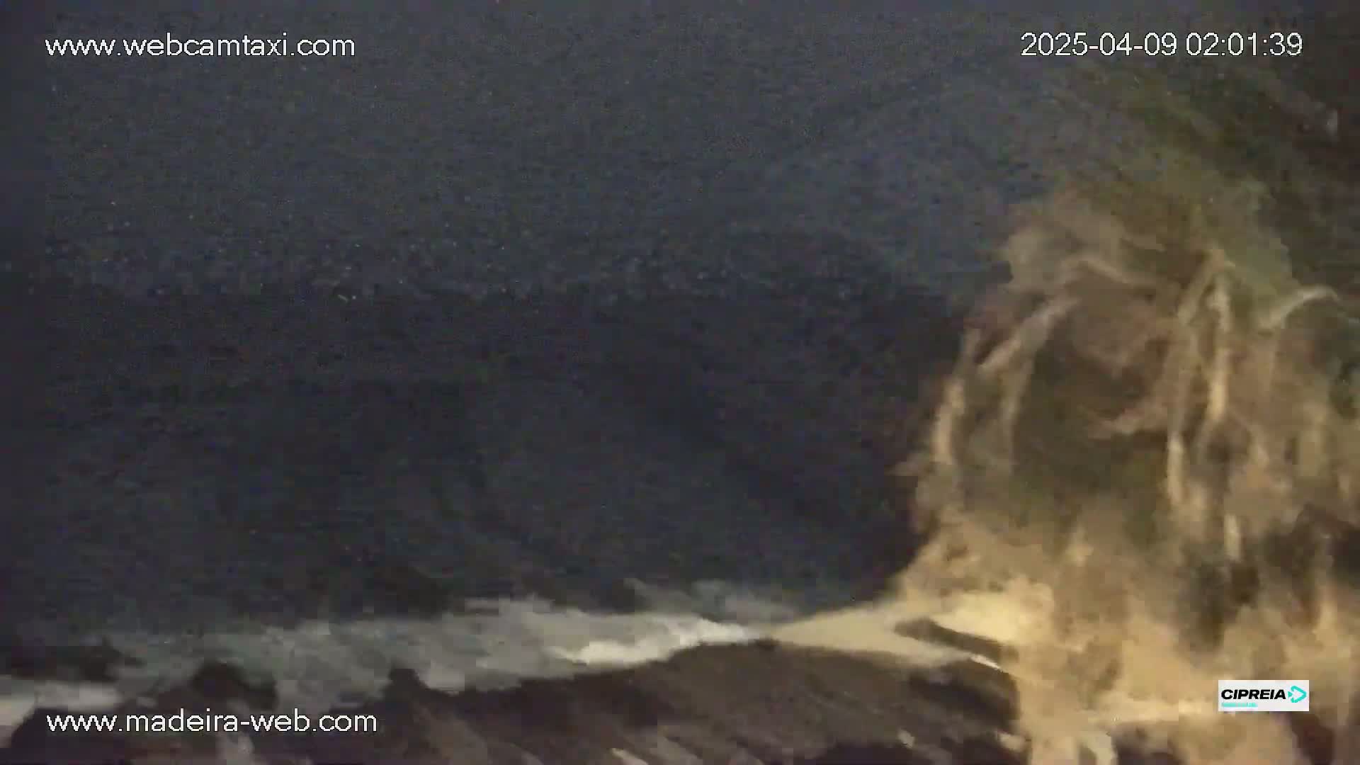 A dark, nighttime scene shows dark water crashing against a rocky shore.