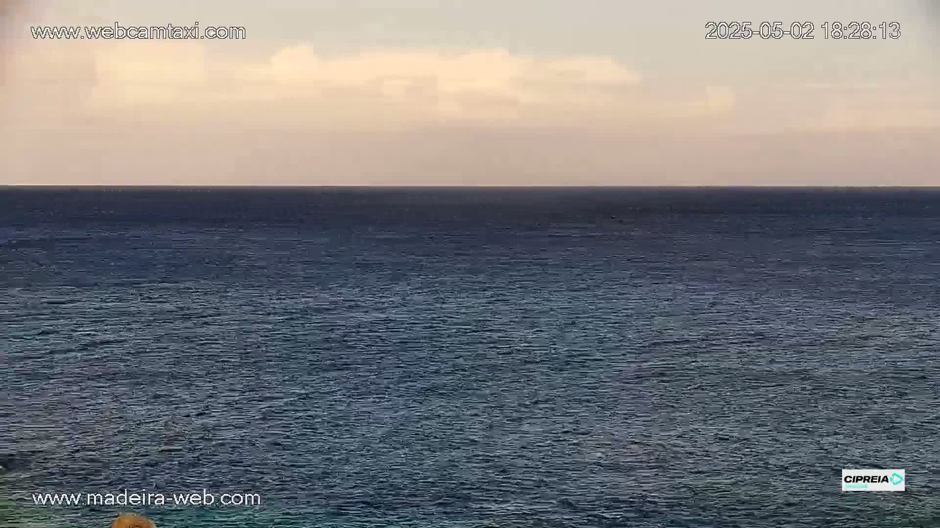A calm, dark blue ocean stretches to the horizon under a pale, cloudy sky.