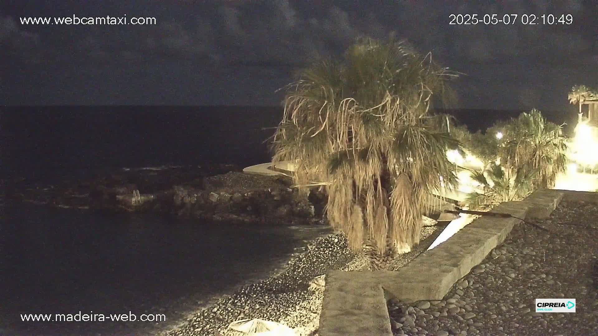 A nighttime coastal scene shows a rocky shore with palm trees, illuminated pathways, and a dark ocean under a partly cloudy sky.