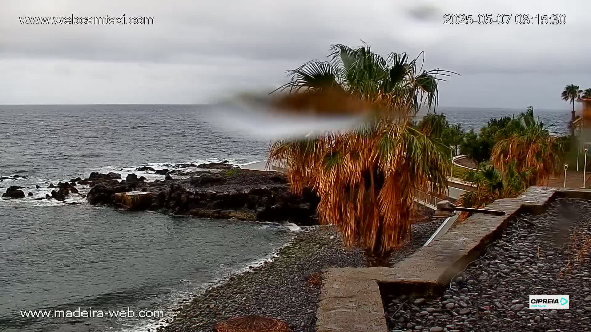 Rain falls on a rocky coastline where dark-colored palm trees stand near a pebble beach and dark ocean water.