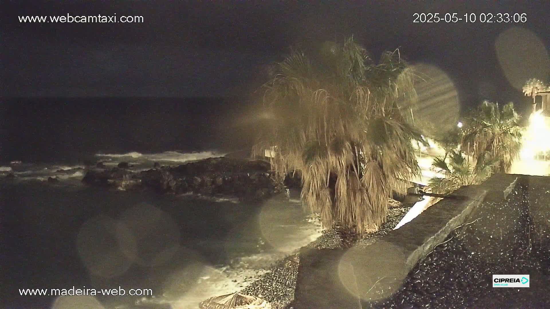 A nighttime view of a rocky coast with palm trees, waves breaking on the shore, and rain.