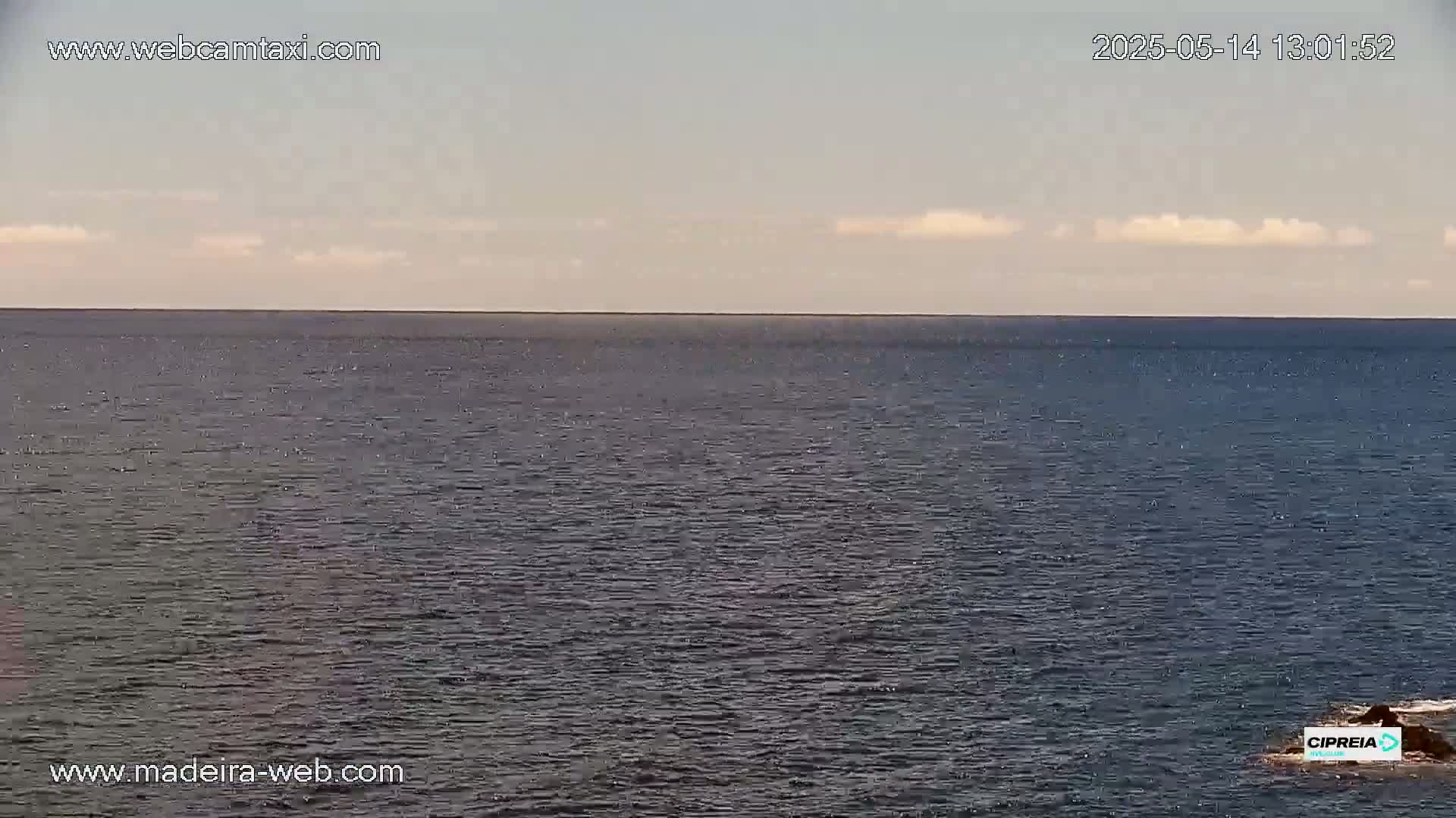 A mostly calm ocean is visible under a slightly cloudy sky.