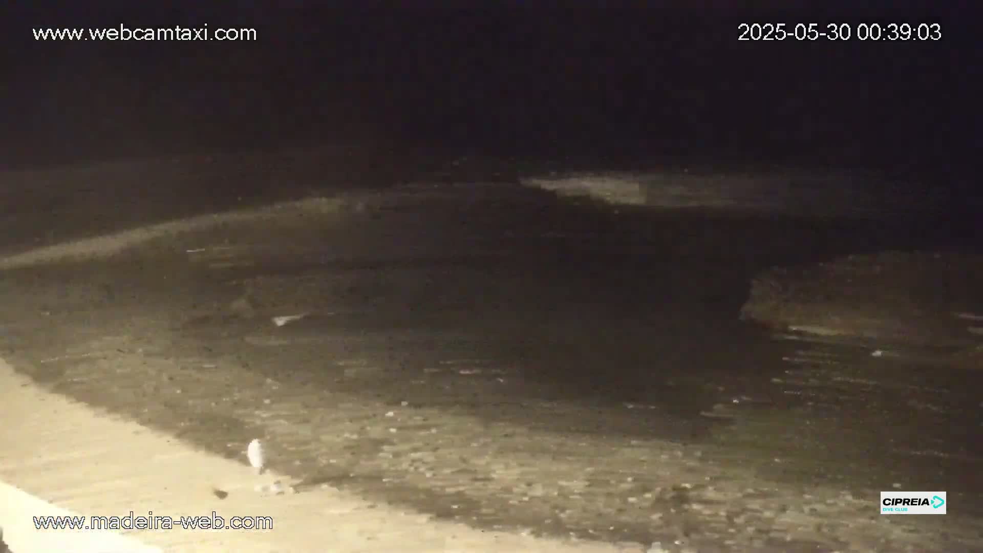 A dark, nighttime scene shows a mostly empty, dark-colored beach or shoreline with some small waves lapping at the edge.
