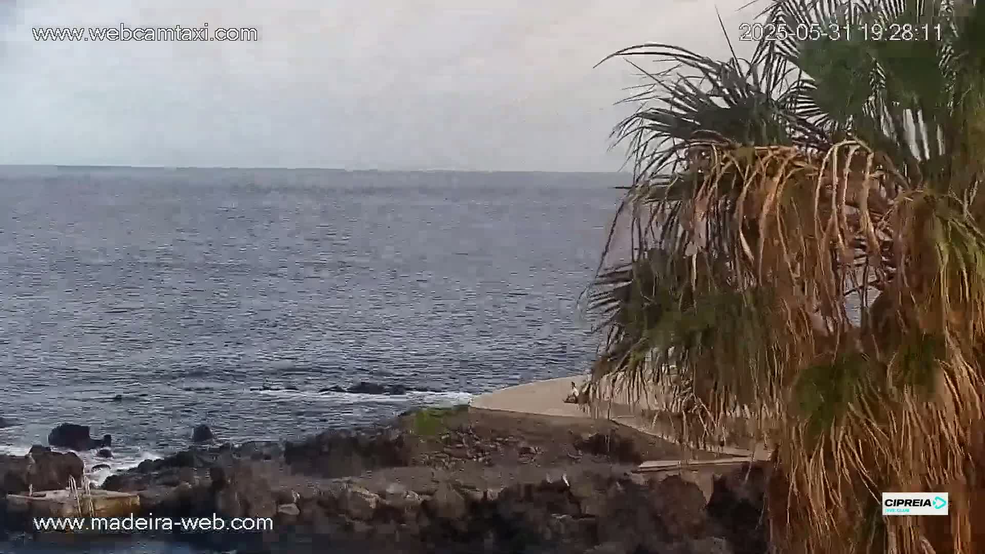 Canico, Praia dos Reis Magos Beach Live Cam, Caniço - Santa Cruz, Madeira, Portugal