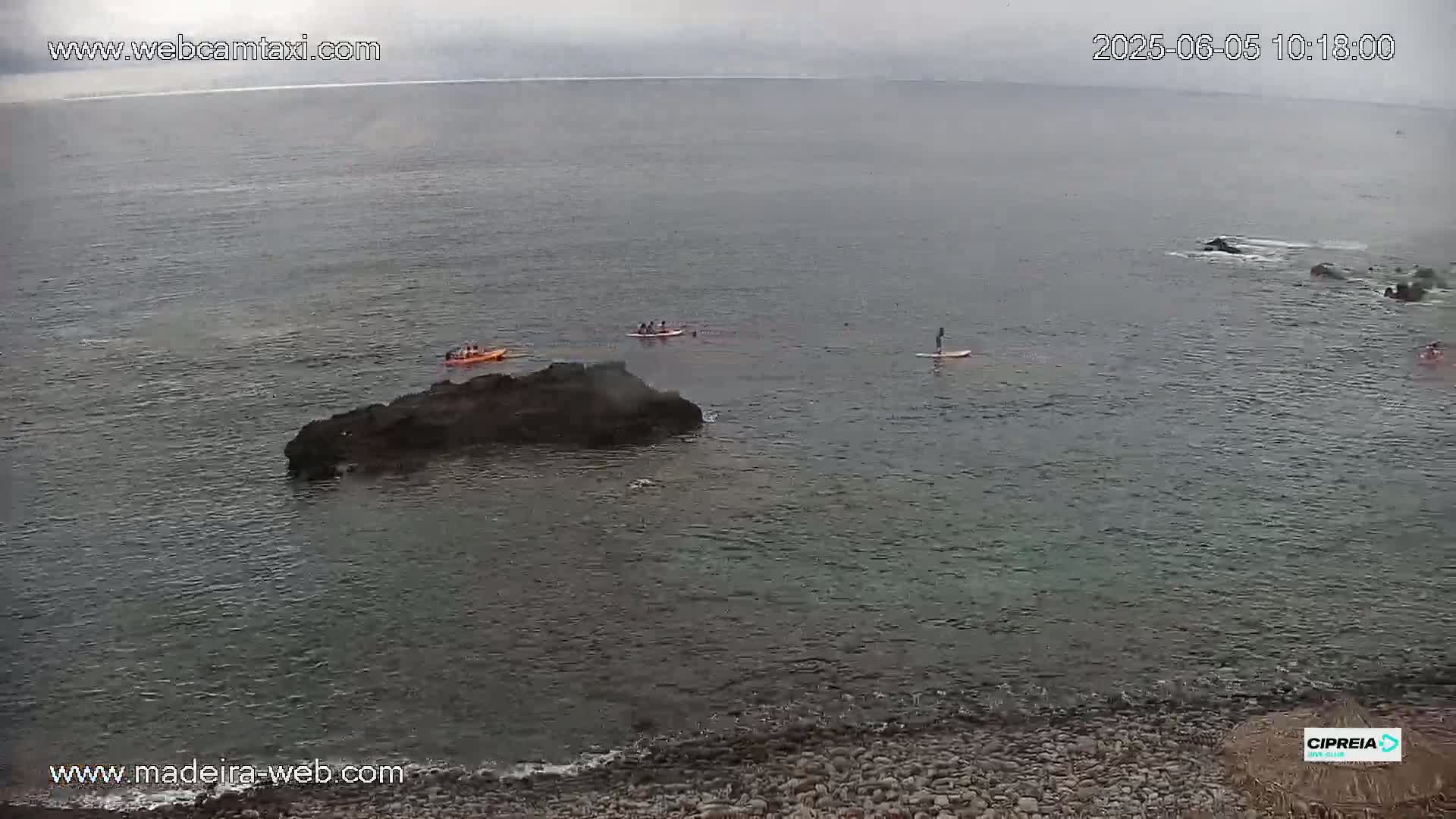 A rocky shore meets calm, overcast waters where a small boat, several kayakers, and a stand-up paddleboarder are visible.