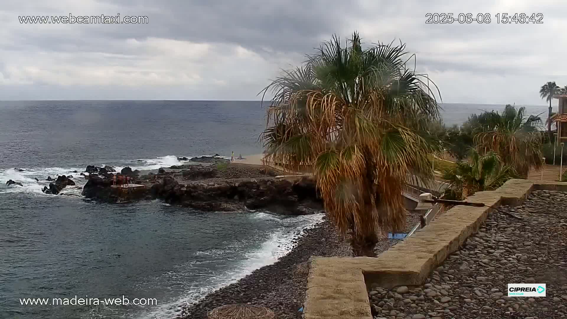 A rocky coast with a small beach and palm trees is visible under an overcast sky, with a calm ocean in the background.