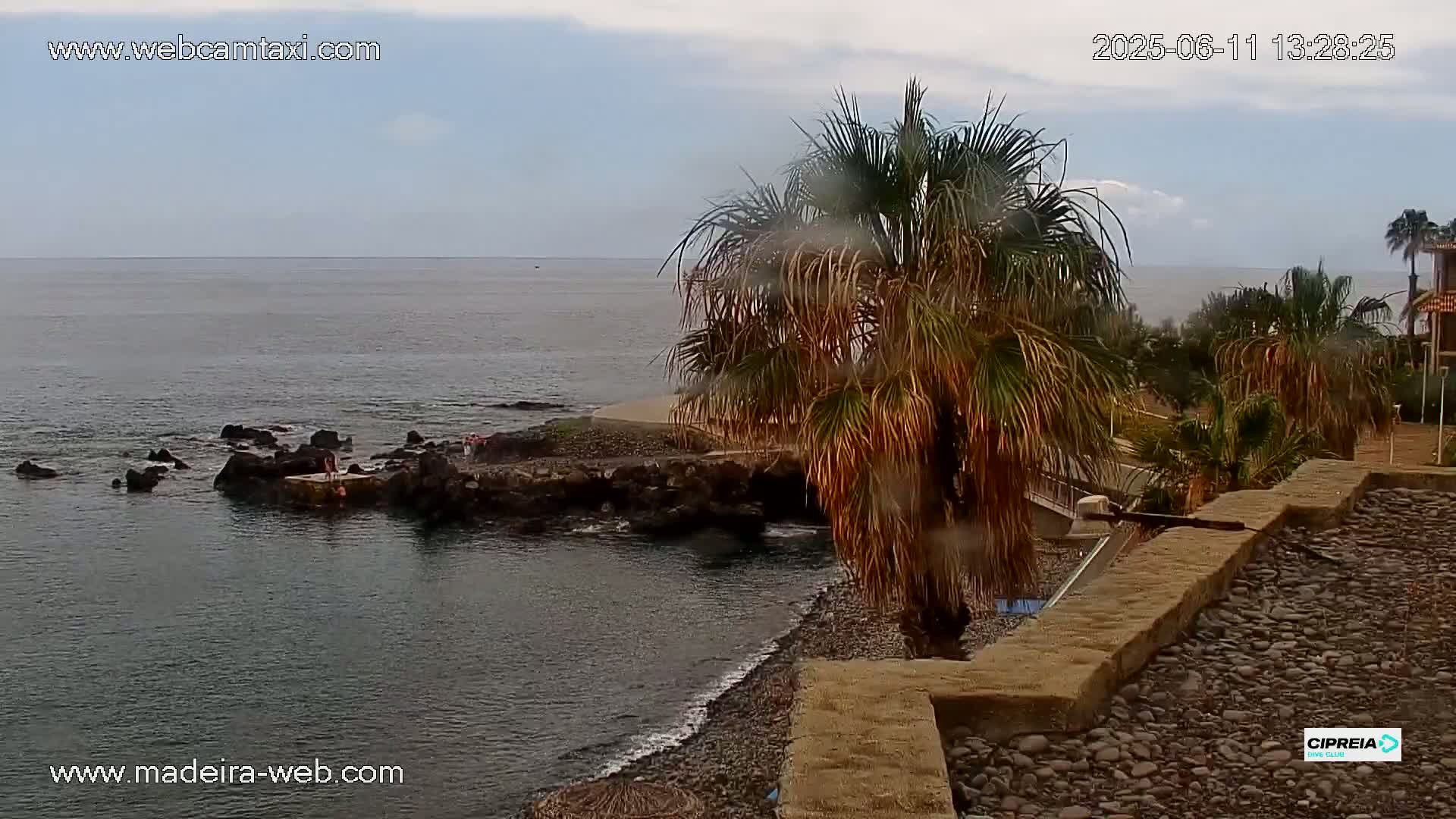 A rocky coast with a calm ocean under an overcast sky, featuring palm trees and a few people near a small jetty.