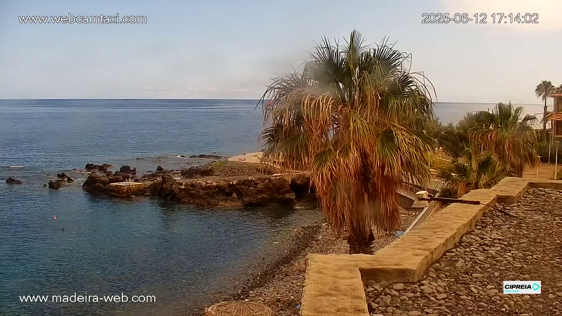 A rocky shoreline with calm ocean waters is viewed from above, palm trees are in the foreground under a mostly clear sky.